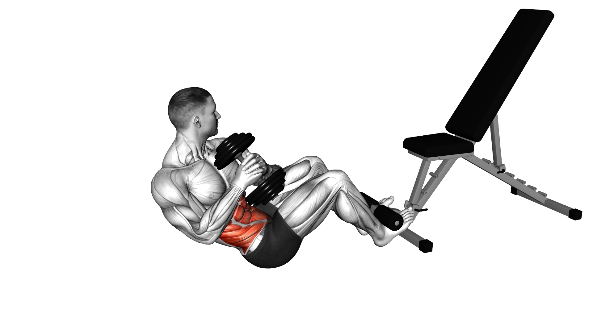 Dumbbell Russian Twist exercise demonstration
