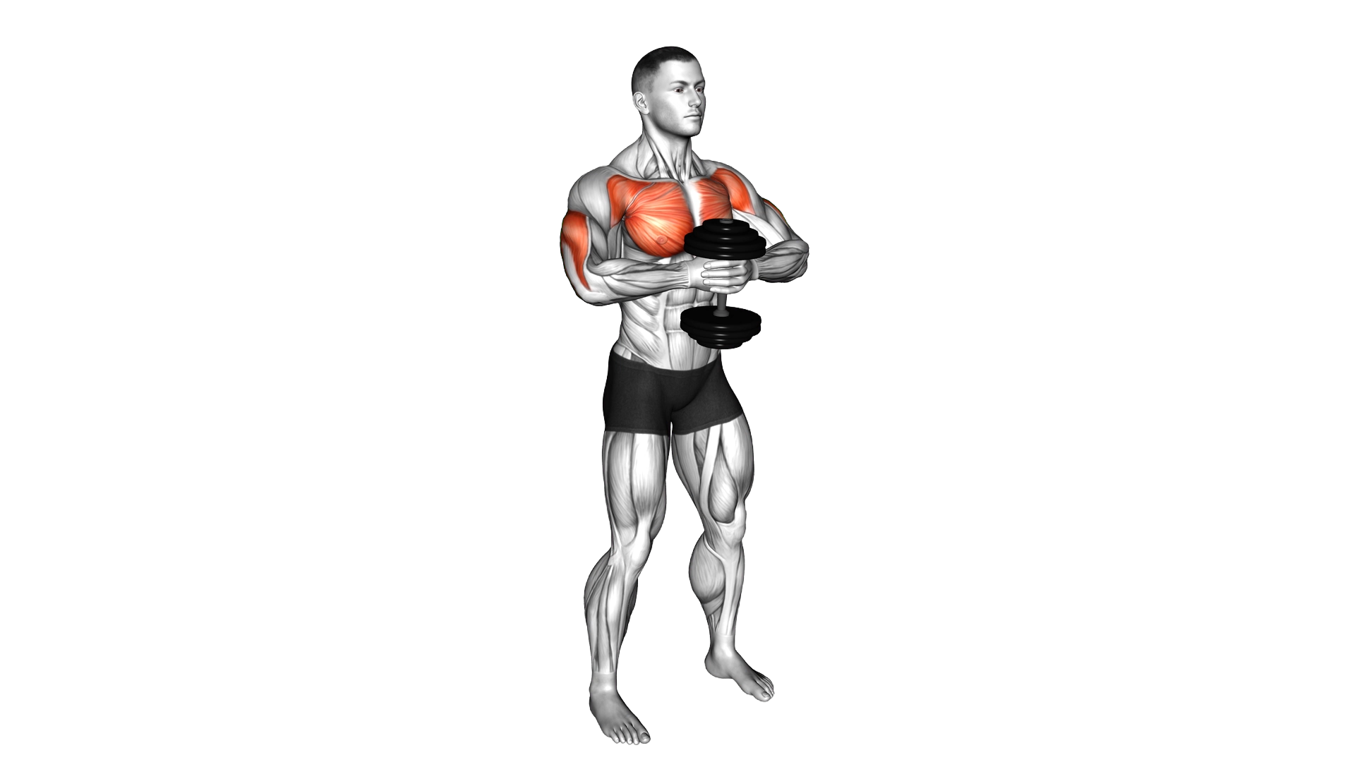 Dumbbell Svend Press exercise demonstration