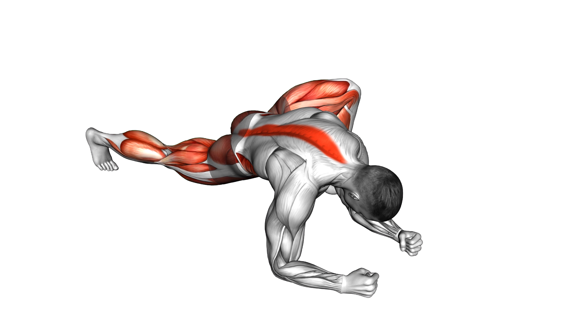 Warming up in Lunge (six) exercise demonstration