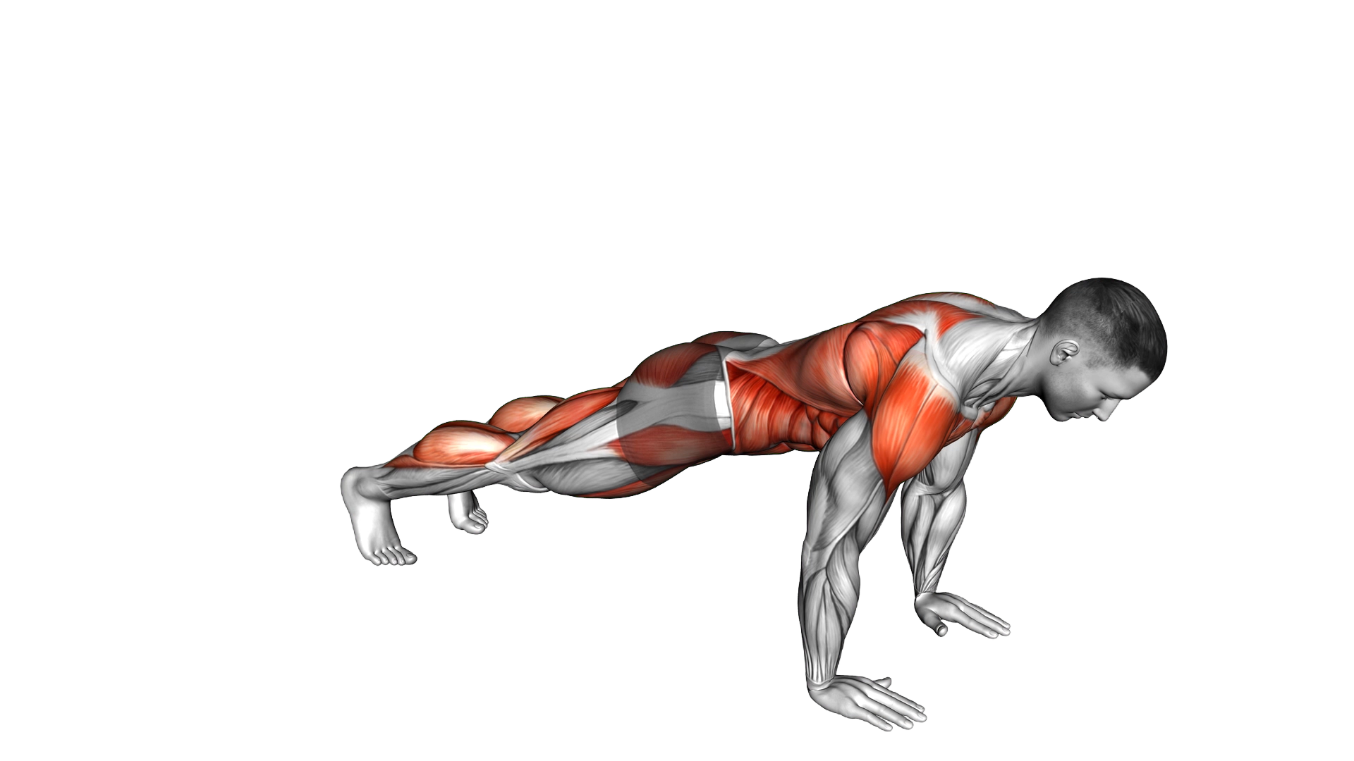 Downward Facing Dog exercise demonstration