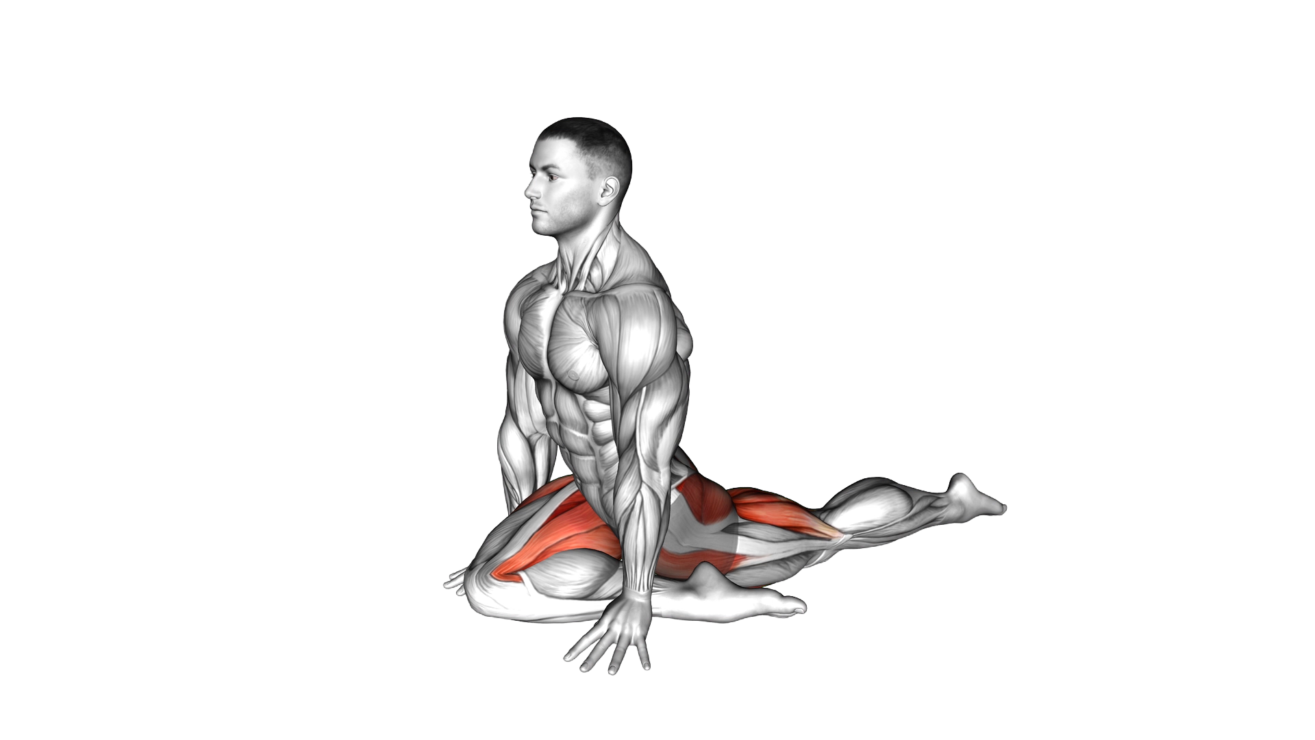 Lying Leg Tuck Hip Stretch exercise demonstration