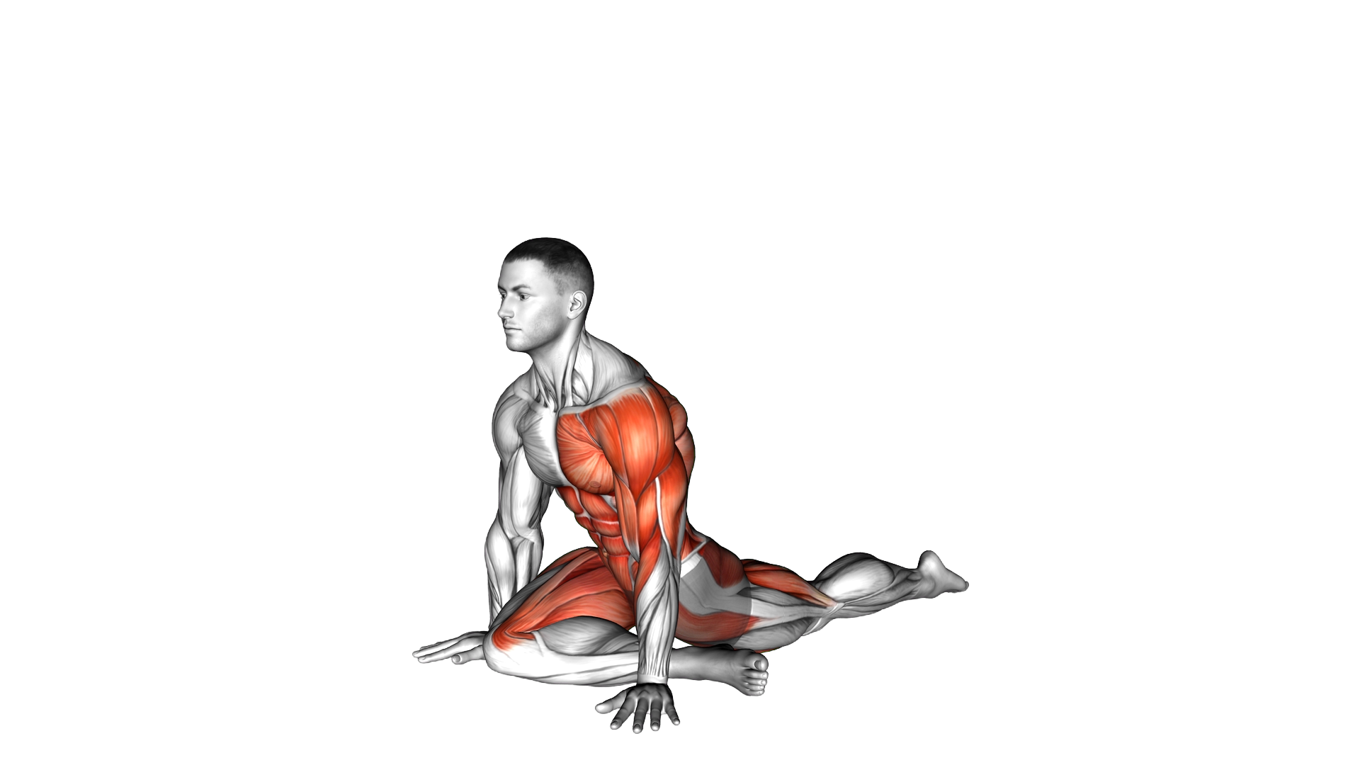 Lying Leg Tuck Hip Twist Stretch exercise demonstration