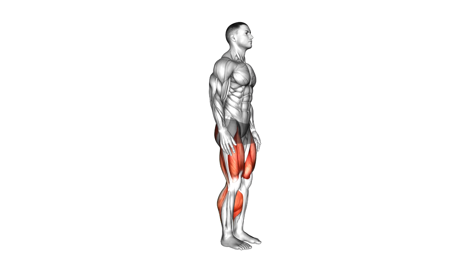 Alternate Sprinter Lunge exercise demonstration