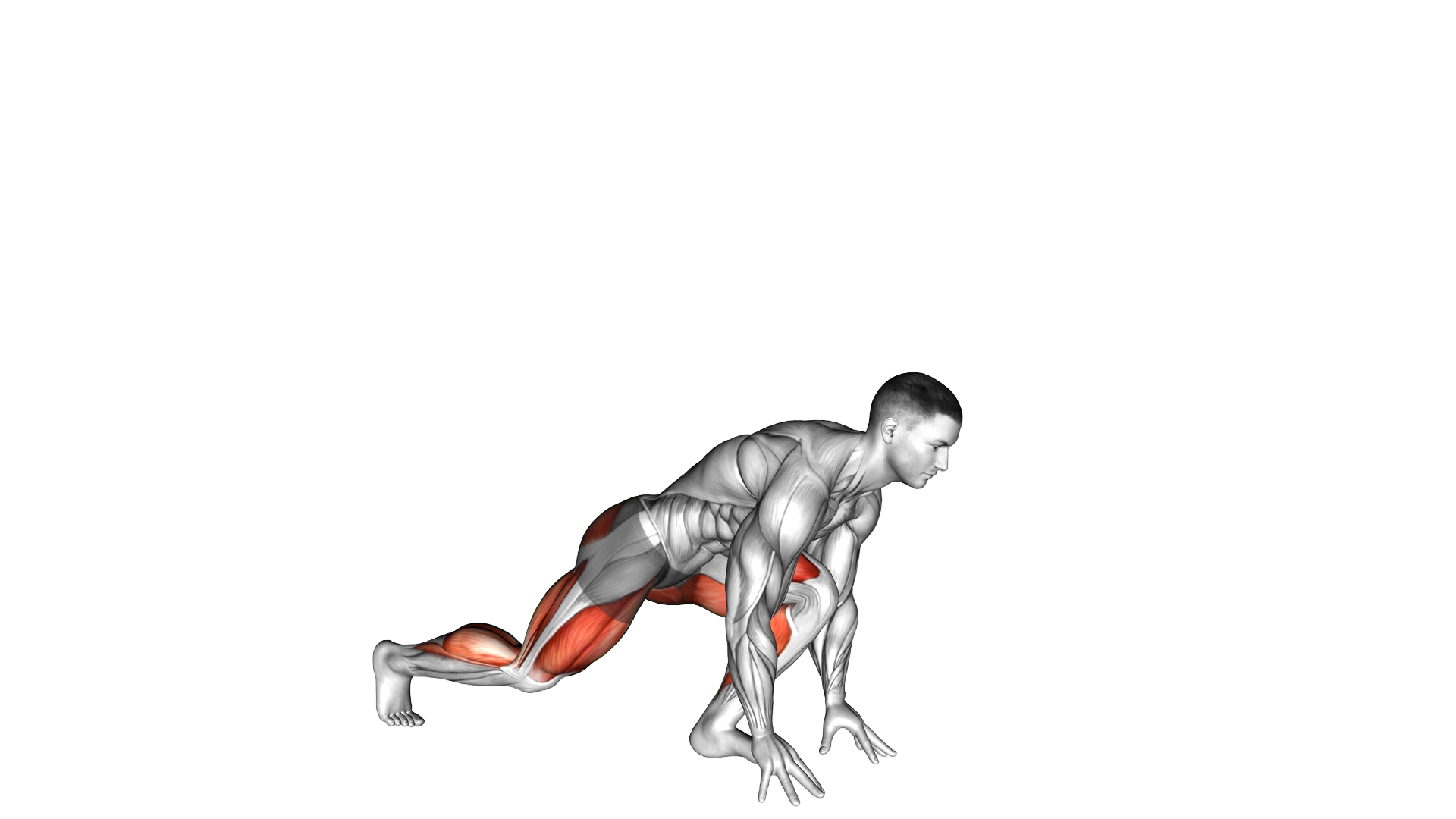 Split Sprinter Low Lunge exercise demonstration