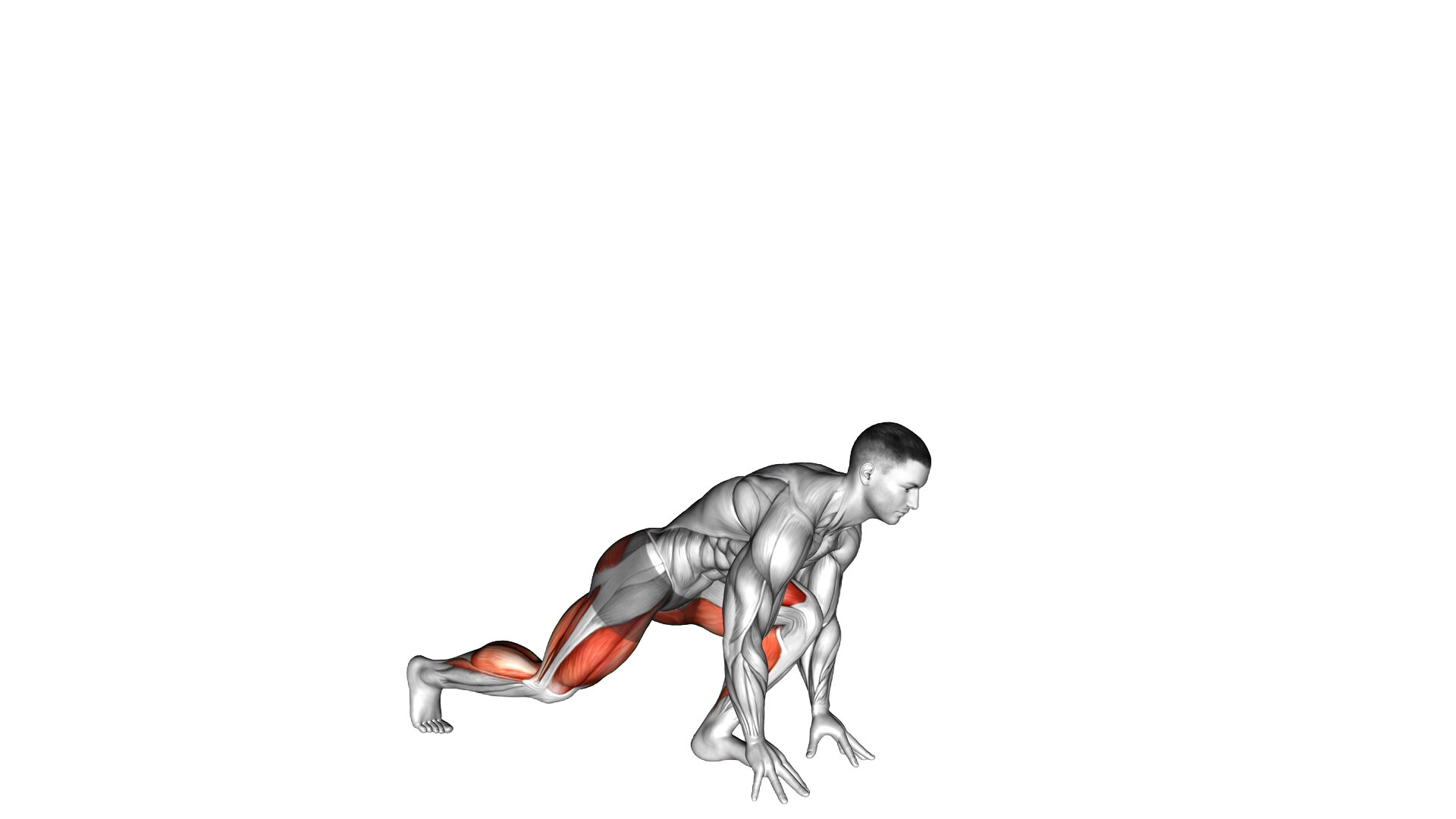 Split Sprinter High Lunge exercise demonstration