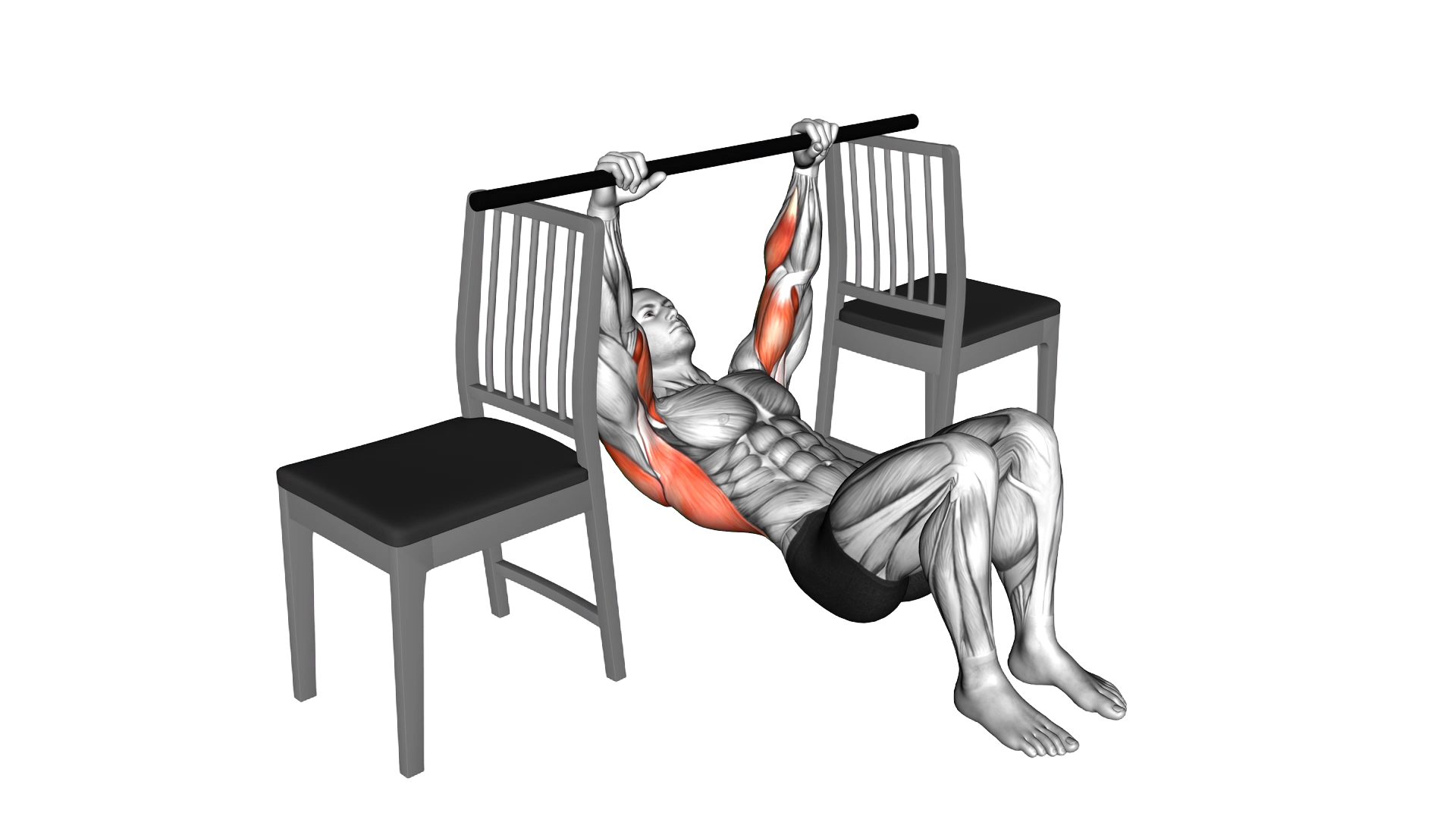 Inverted Row with Bent Knee between Chairs exercise demonstration