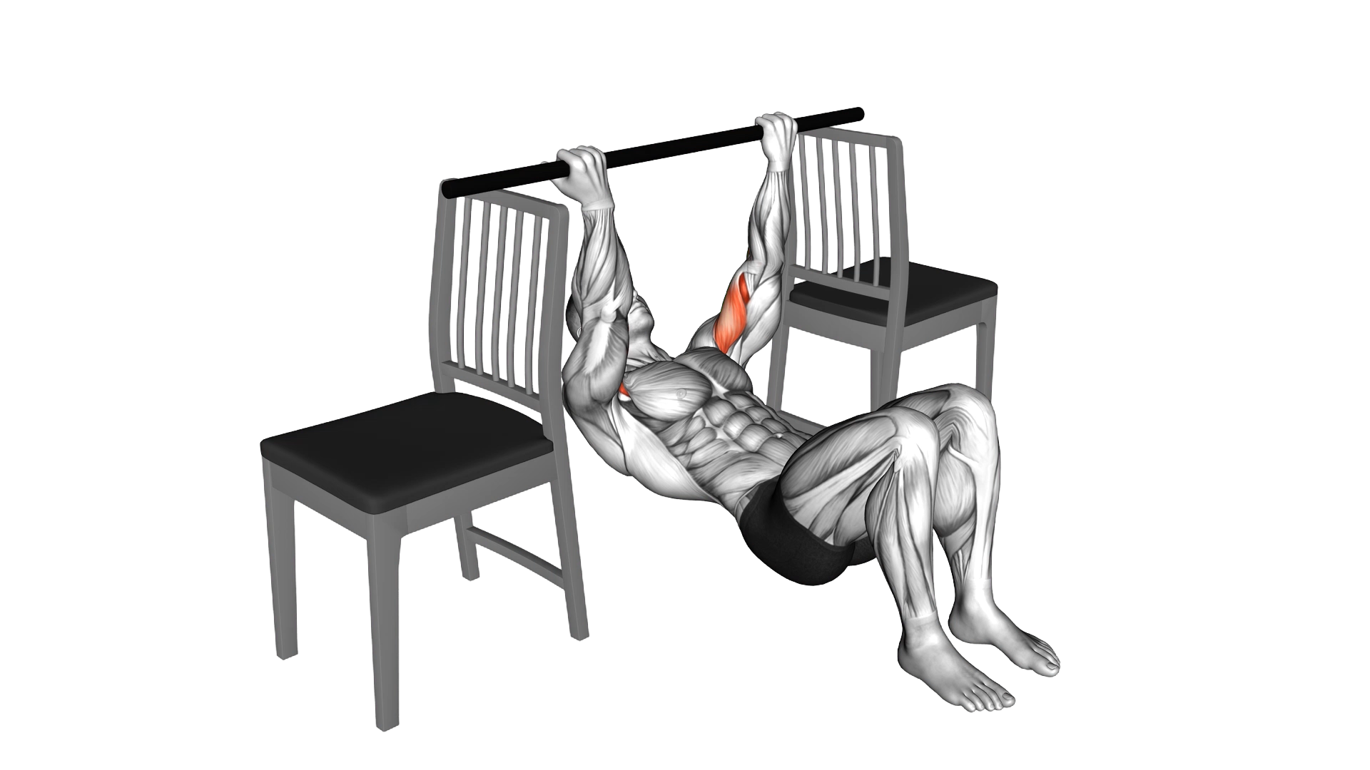 Inverted Chin Curl with Bent Knee between Chairs exercise demonstration