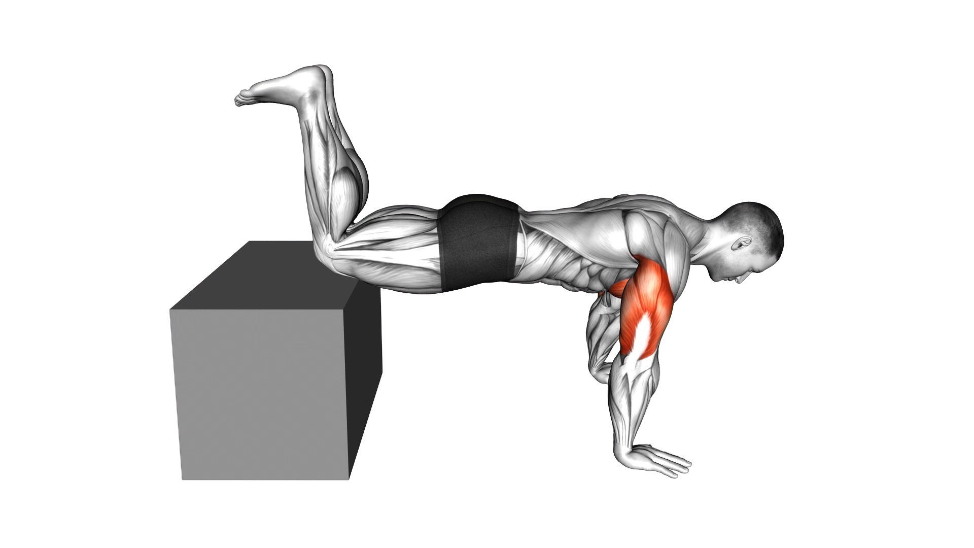 Decline Kneeling Push Up on Box exercise demonstration