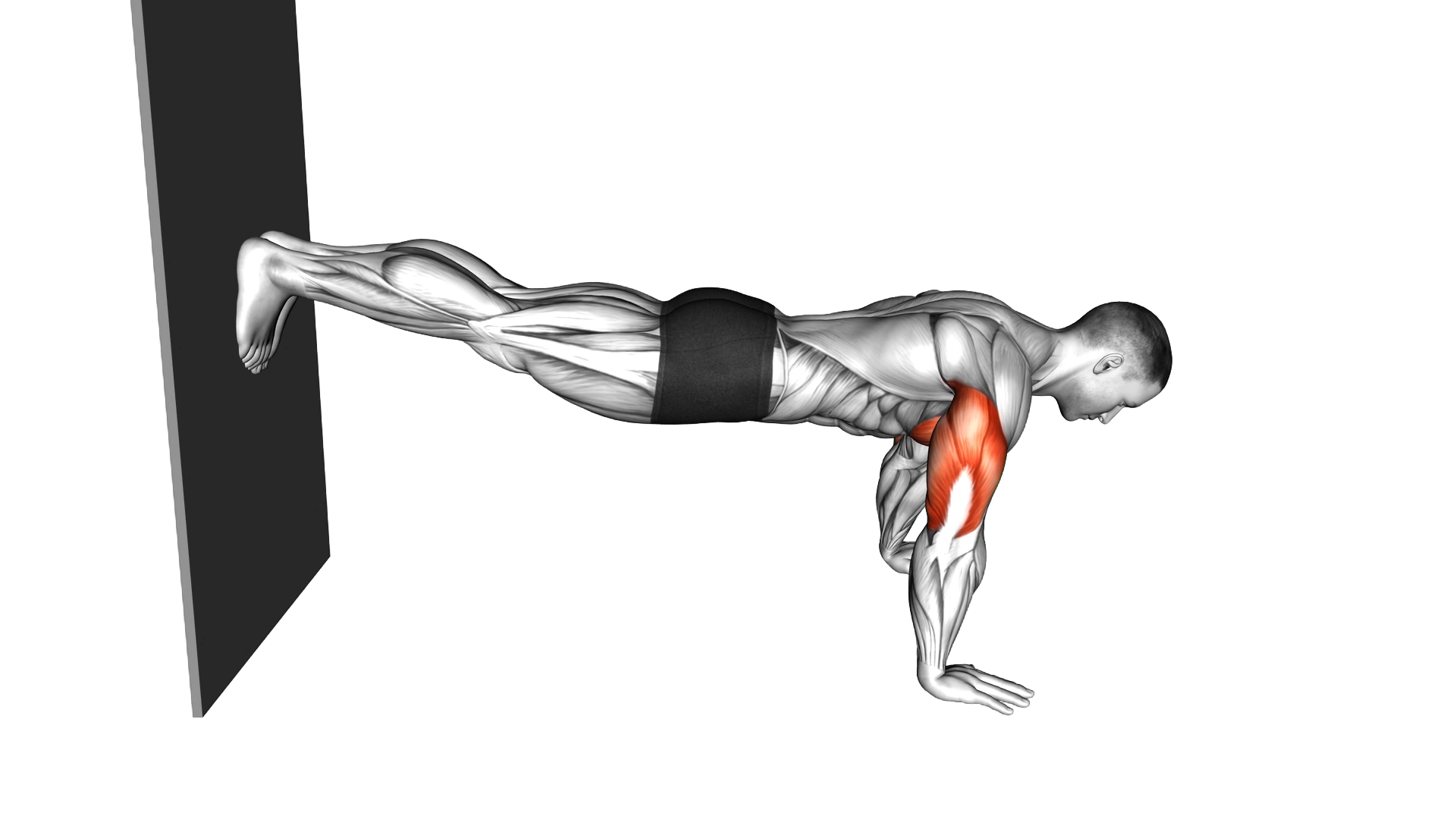 Decline Push Up against Wall exercise demonstration