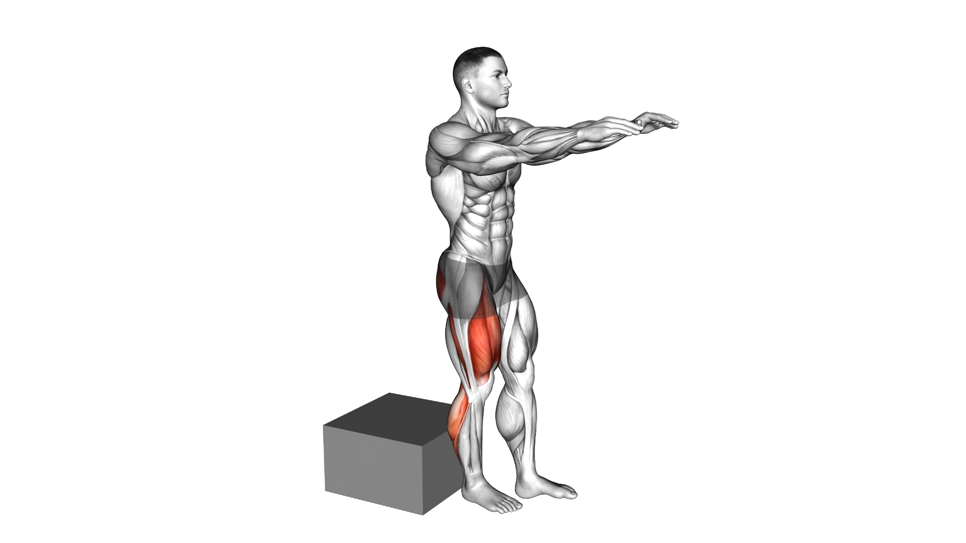 Single Leg Low Box Squat exercise demonstration