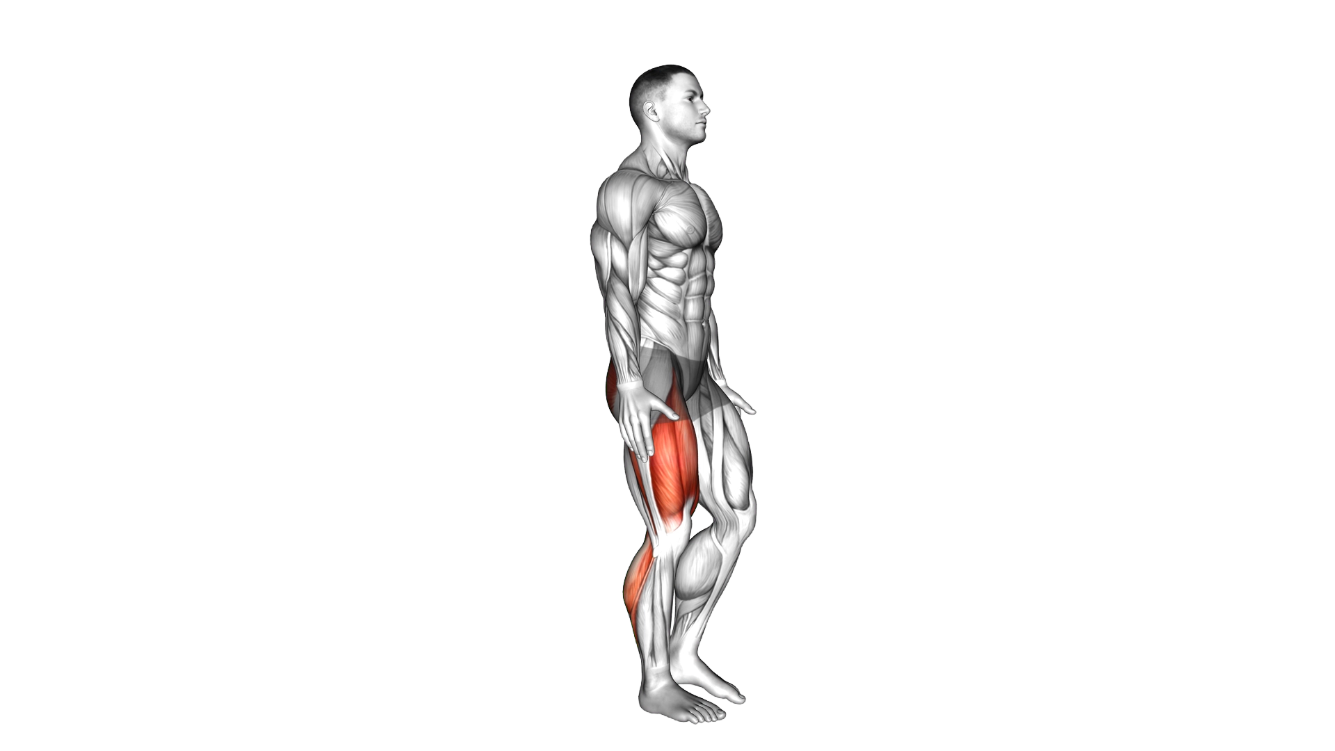 Single Leg Heel Touch Squat exercise demonstration