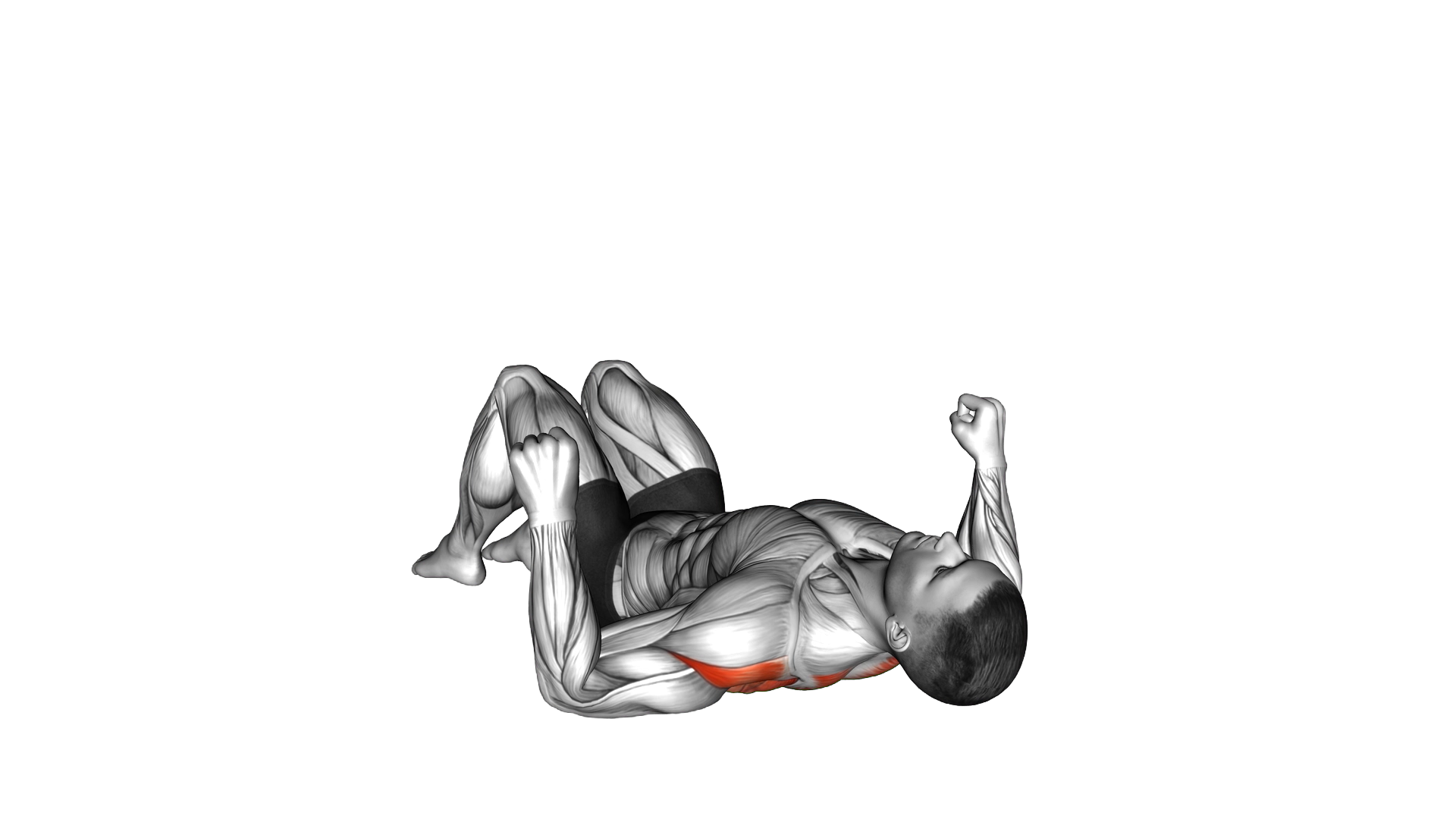 Lying Floor Row with Bent Knee exercise demonstration