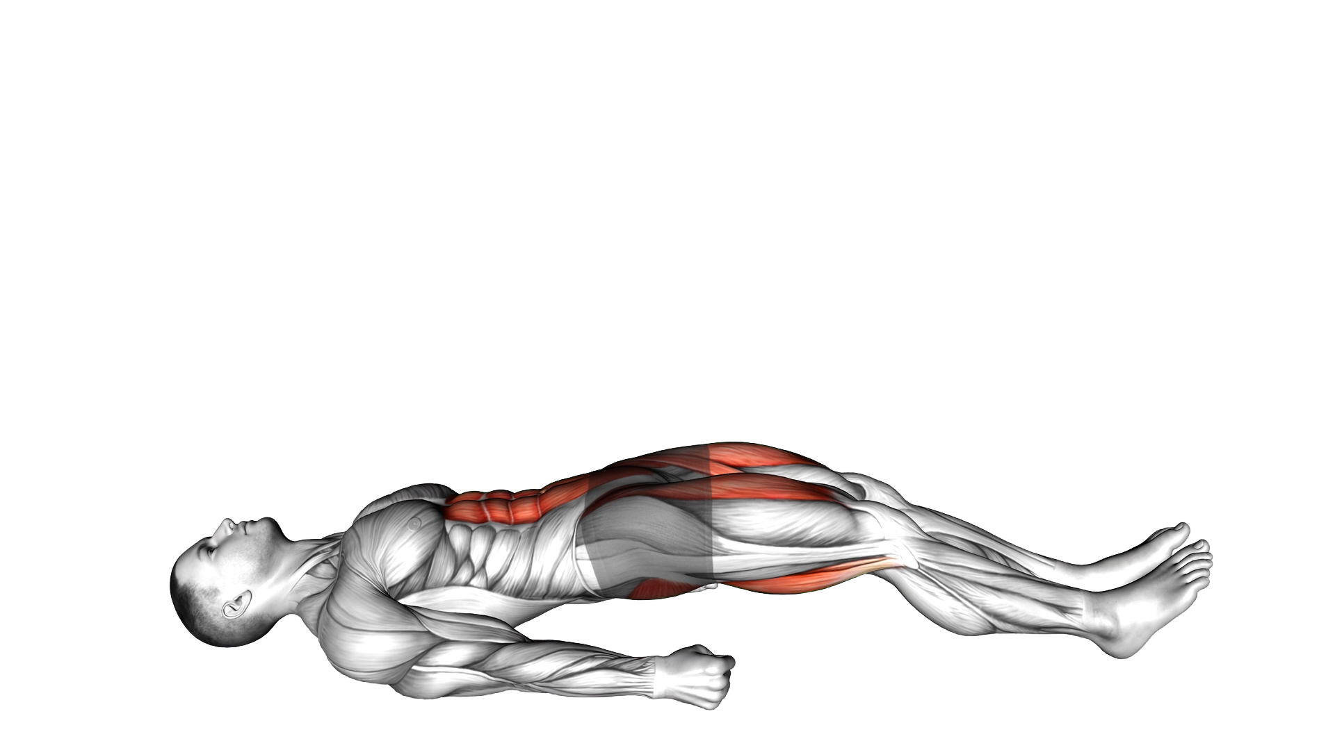 Lying Straight Leg Marches exercise demonstration
