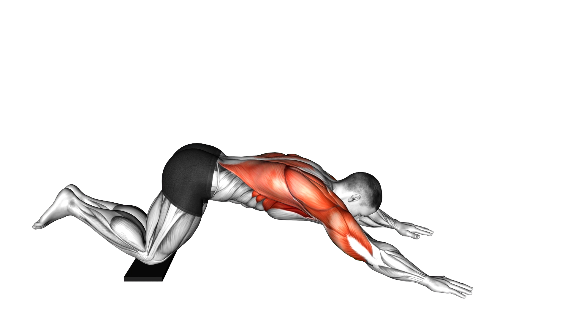 Sliding Floor Pulldown on Towel exercise demonstration