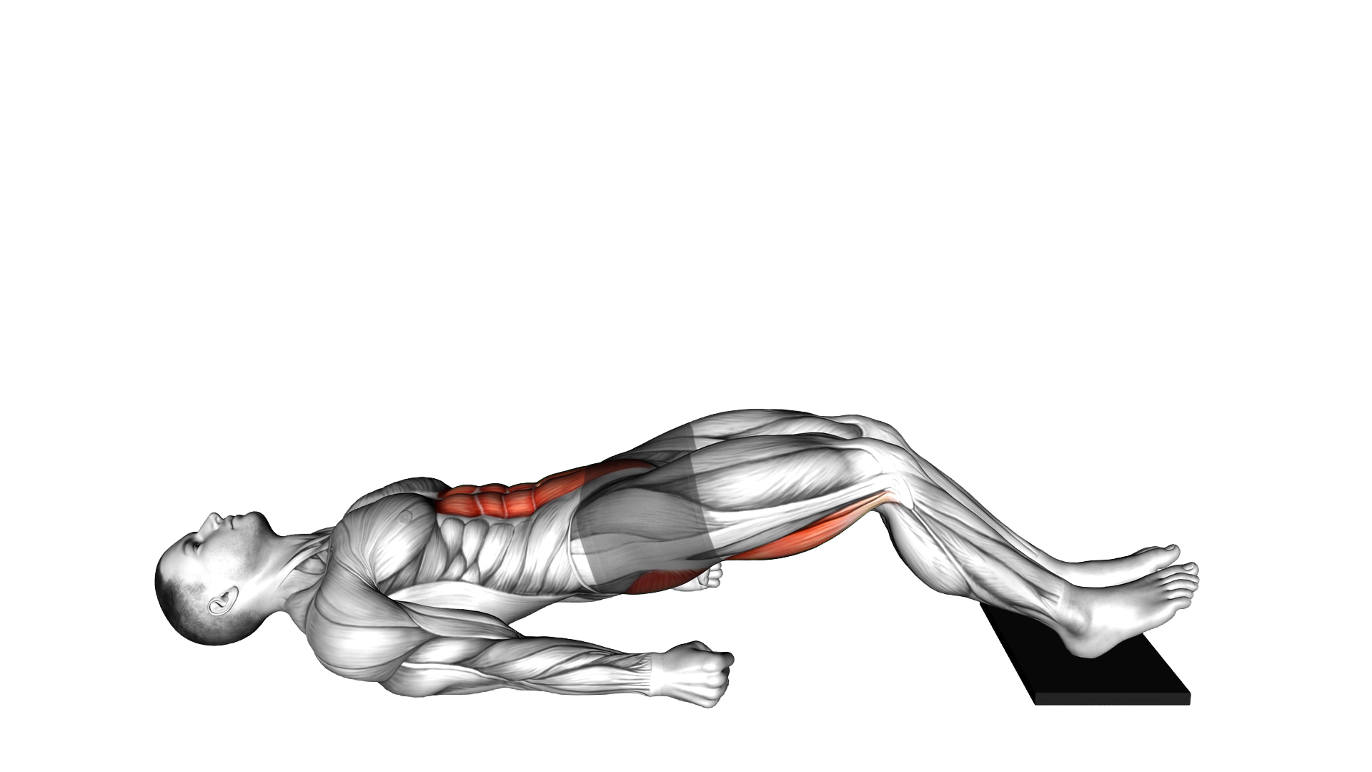 Sliding Floor Bridge Curl on Towel exercise demonstration
