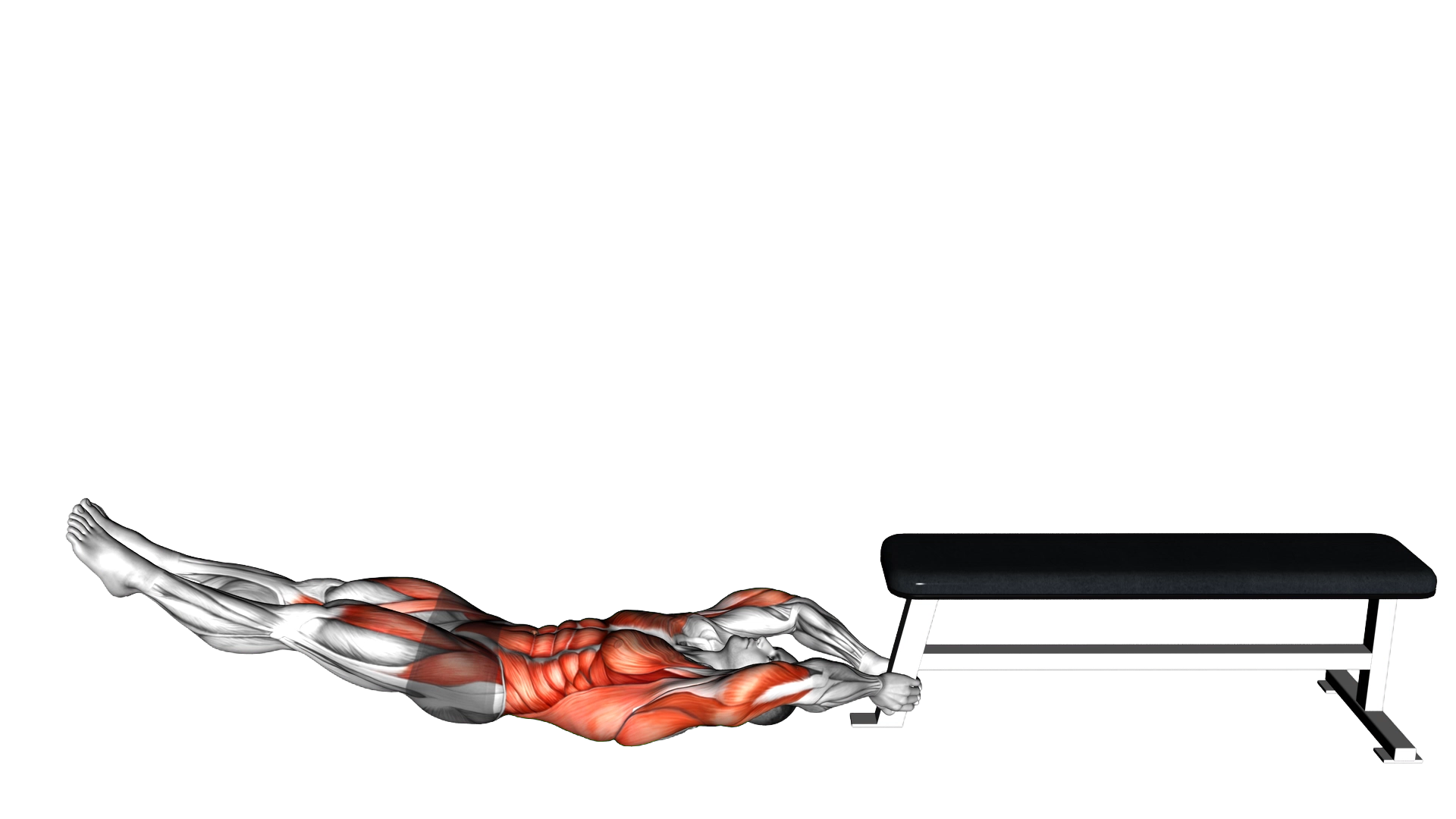 Self Assisted Inverted Pullover exercise demonstration