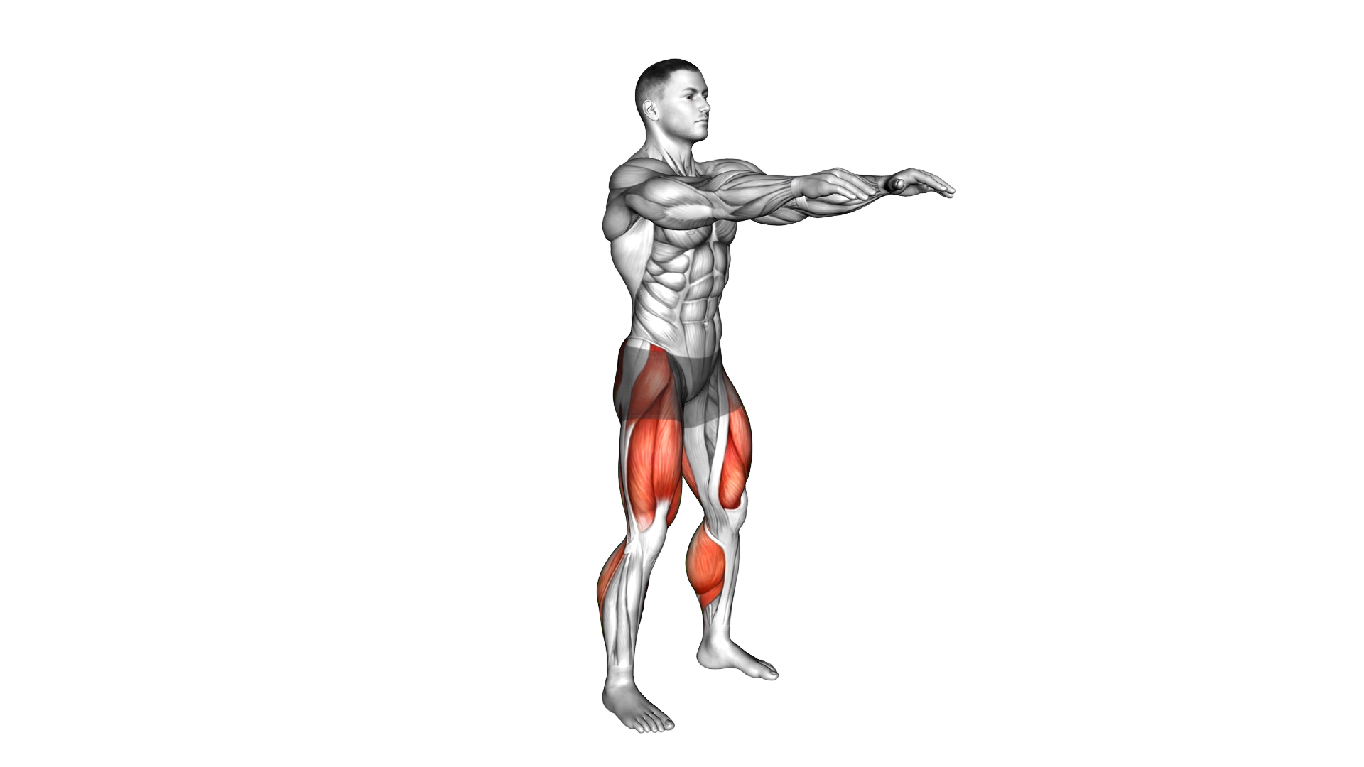 Full Squat Mobility exercise demonstration