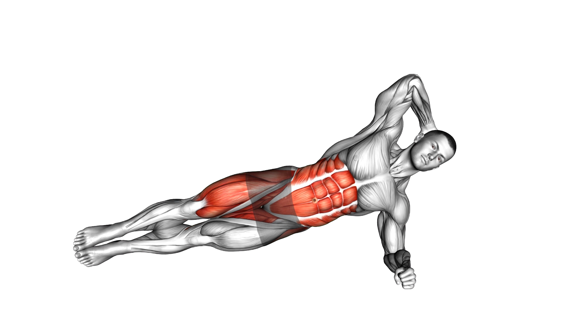 Elbow to Knee Side Plank Crunch exercise demonstration