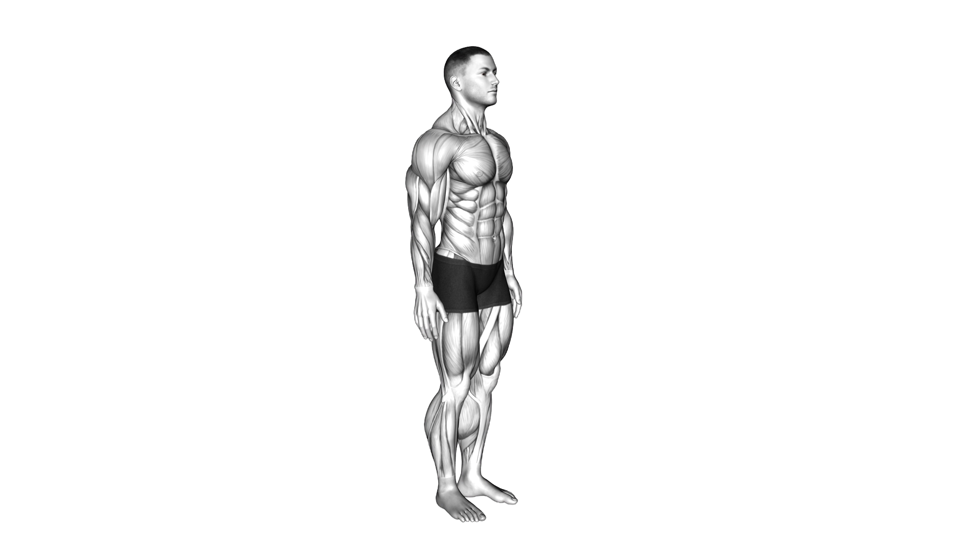 Standing Balance Quadriceps Stretch exercise demonstration
