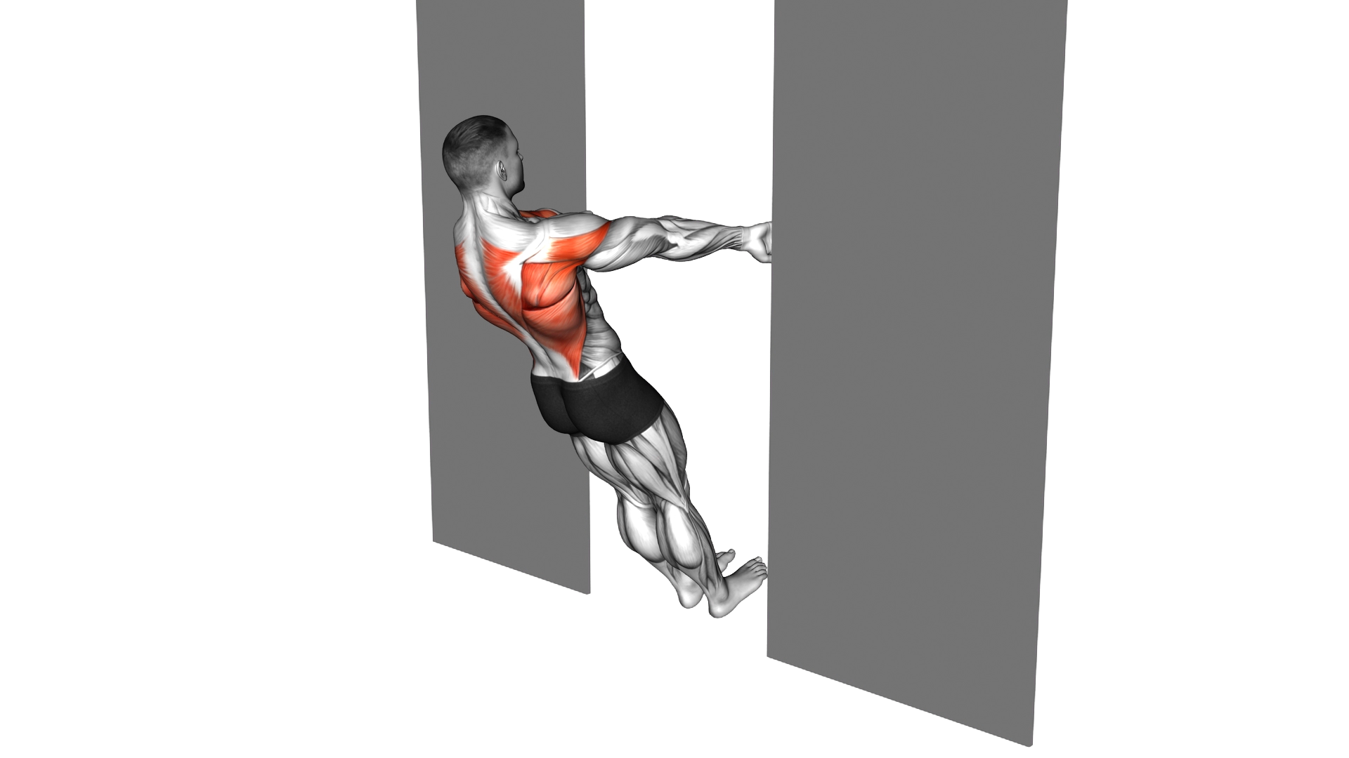 Bodyweight Row in Doorway exercise demonstration