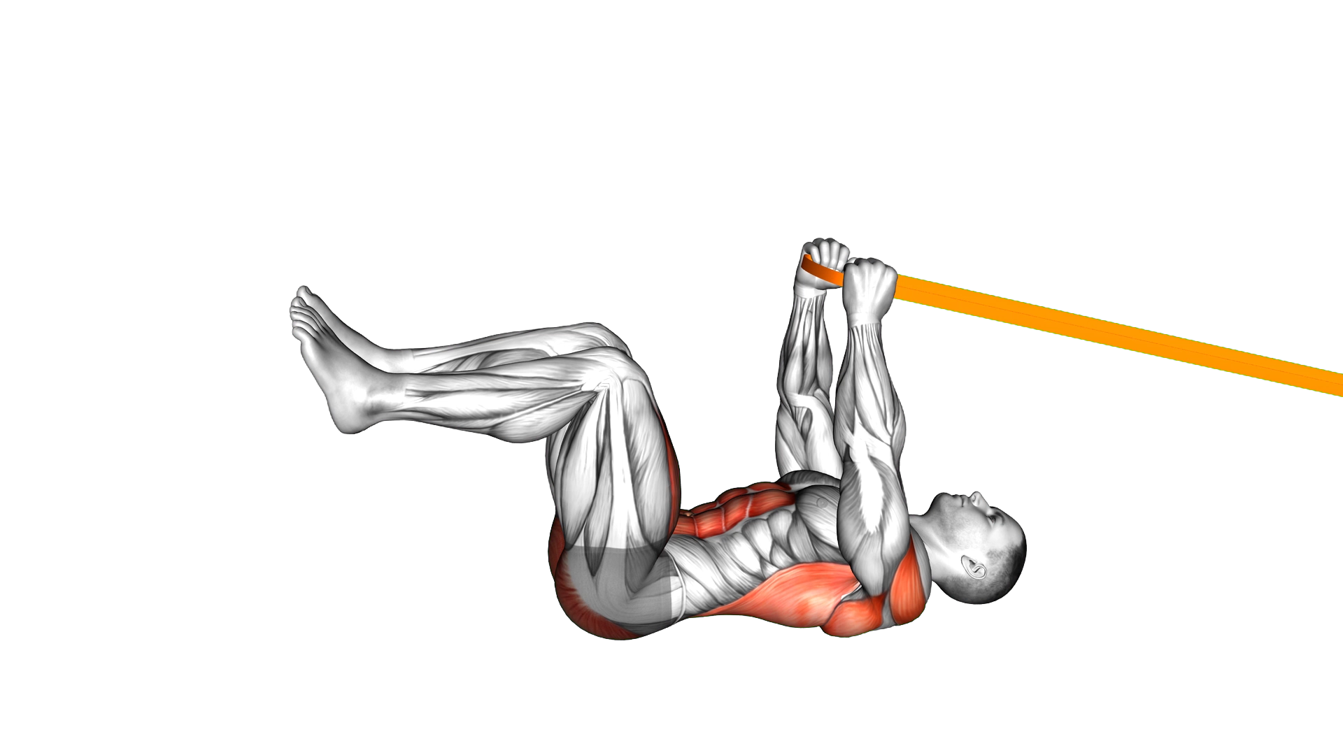 Resistance Band Upper Body Dead Bug exercise demonstration