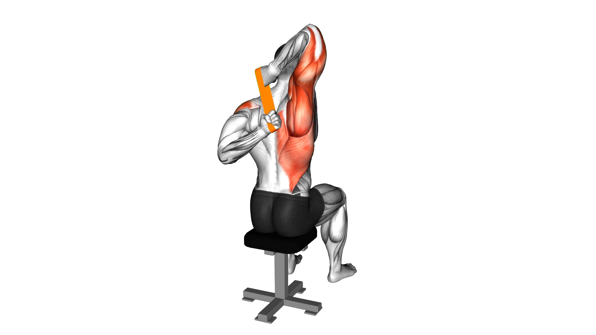 Resistance Band Shoulder Stretch Behind the Back exercise demonstration