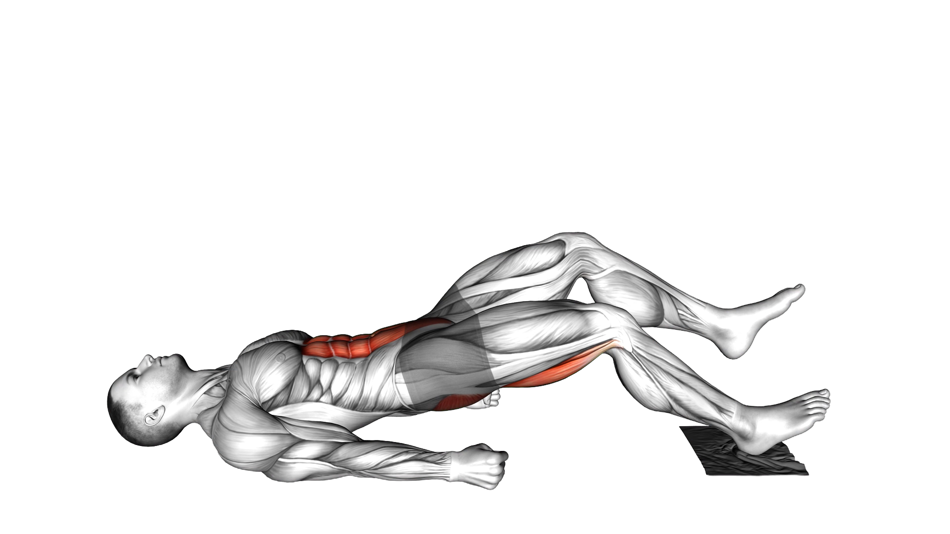 Single Leg Sliding Floor Bridge Curl on Towel exercise demonstration