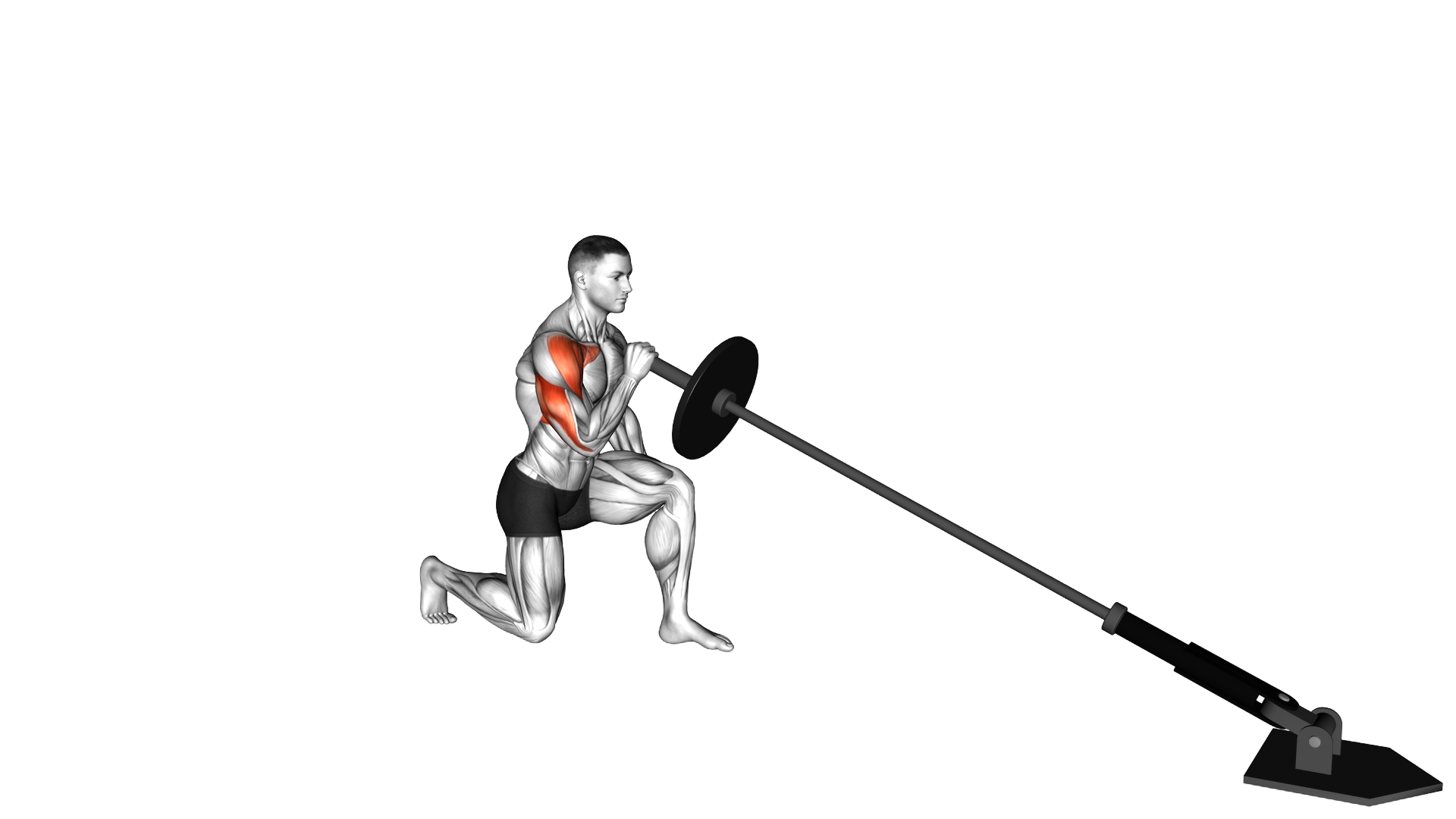 Landmine Kneeling One Arm Shoulder Press exercise demonstration