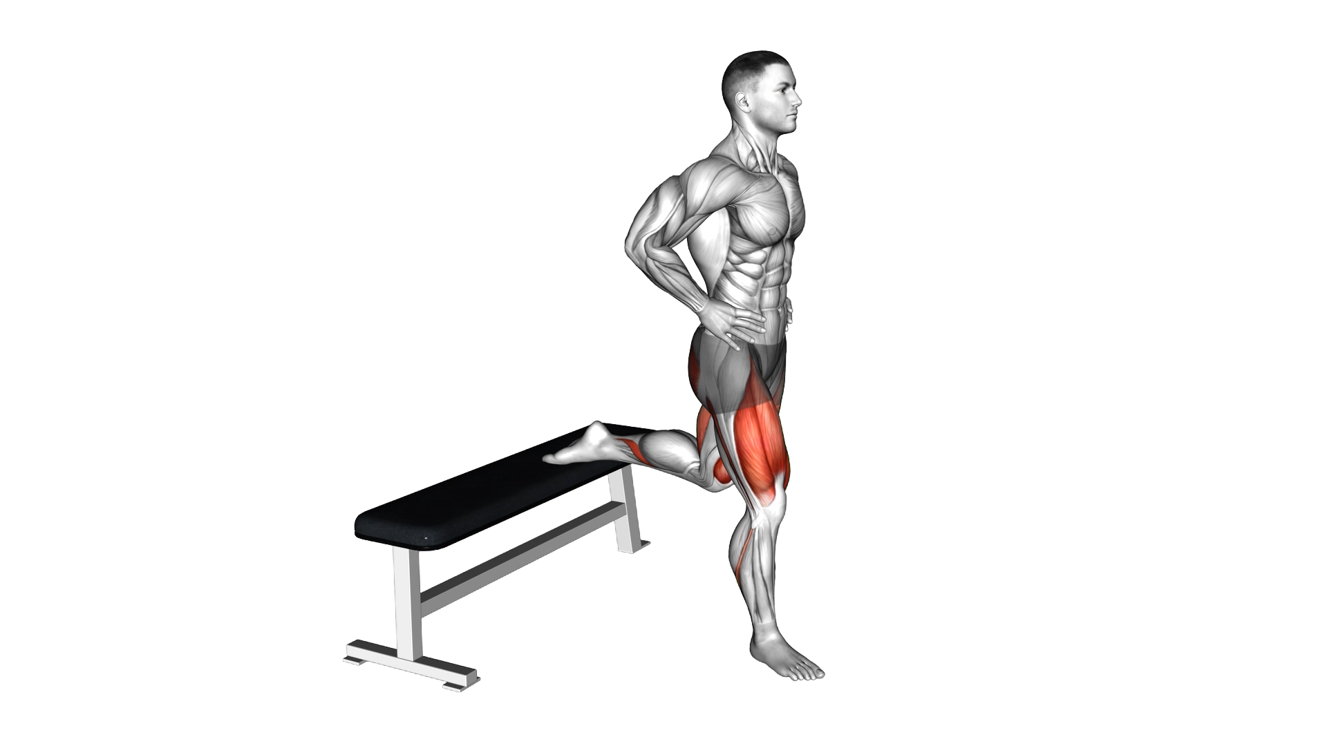 Bulgarian Split Squat exercise demonstration