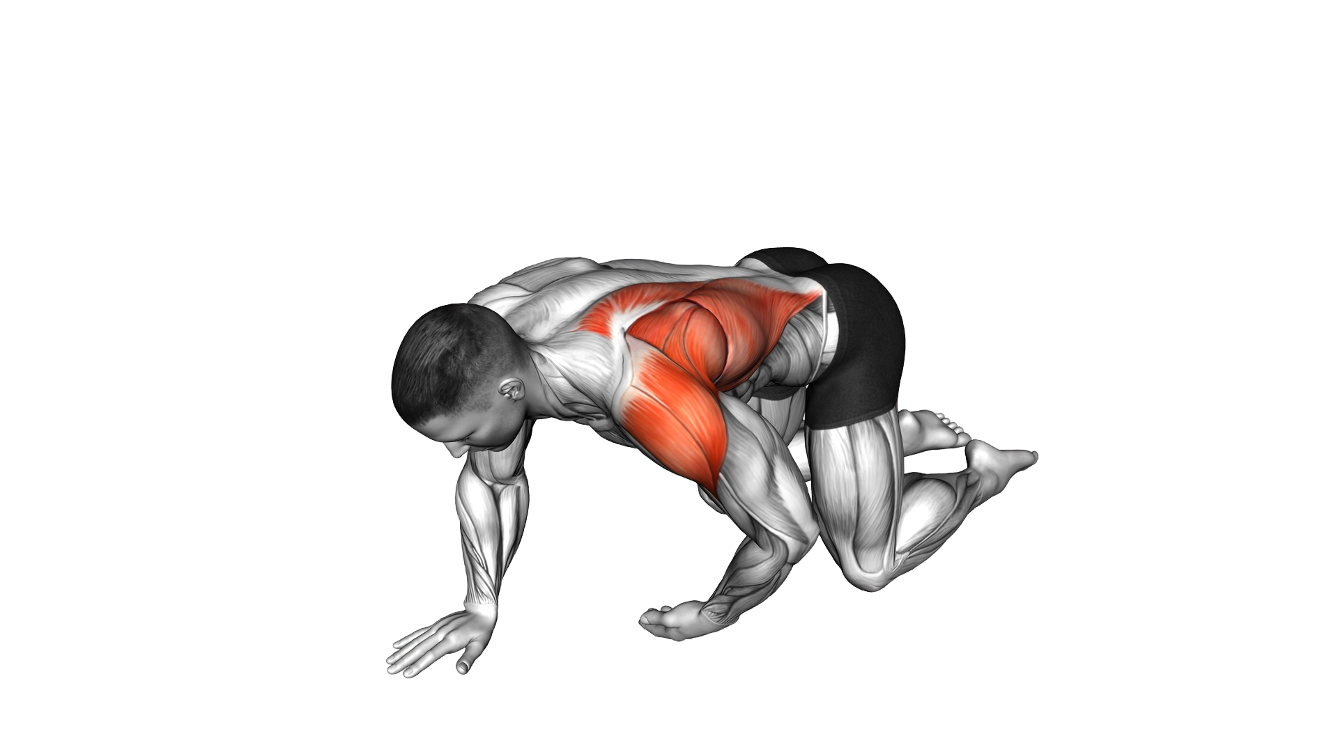 Kneeling T Spine Mobility exercise demonstration