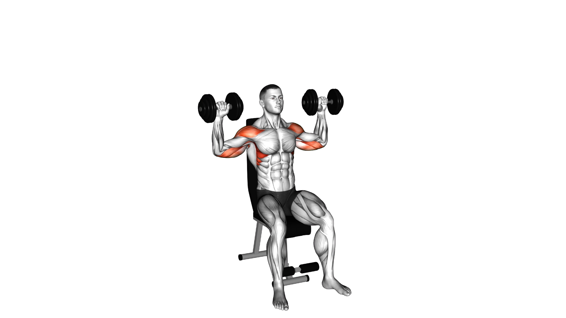 Dumbbell Seated Alternate Shoulder Press exercise demonstration