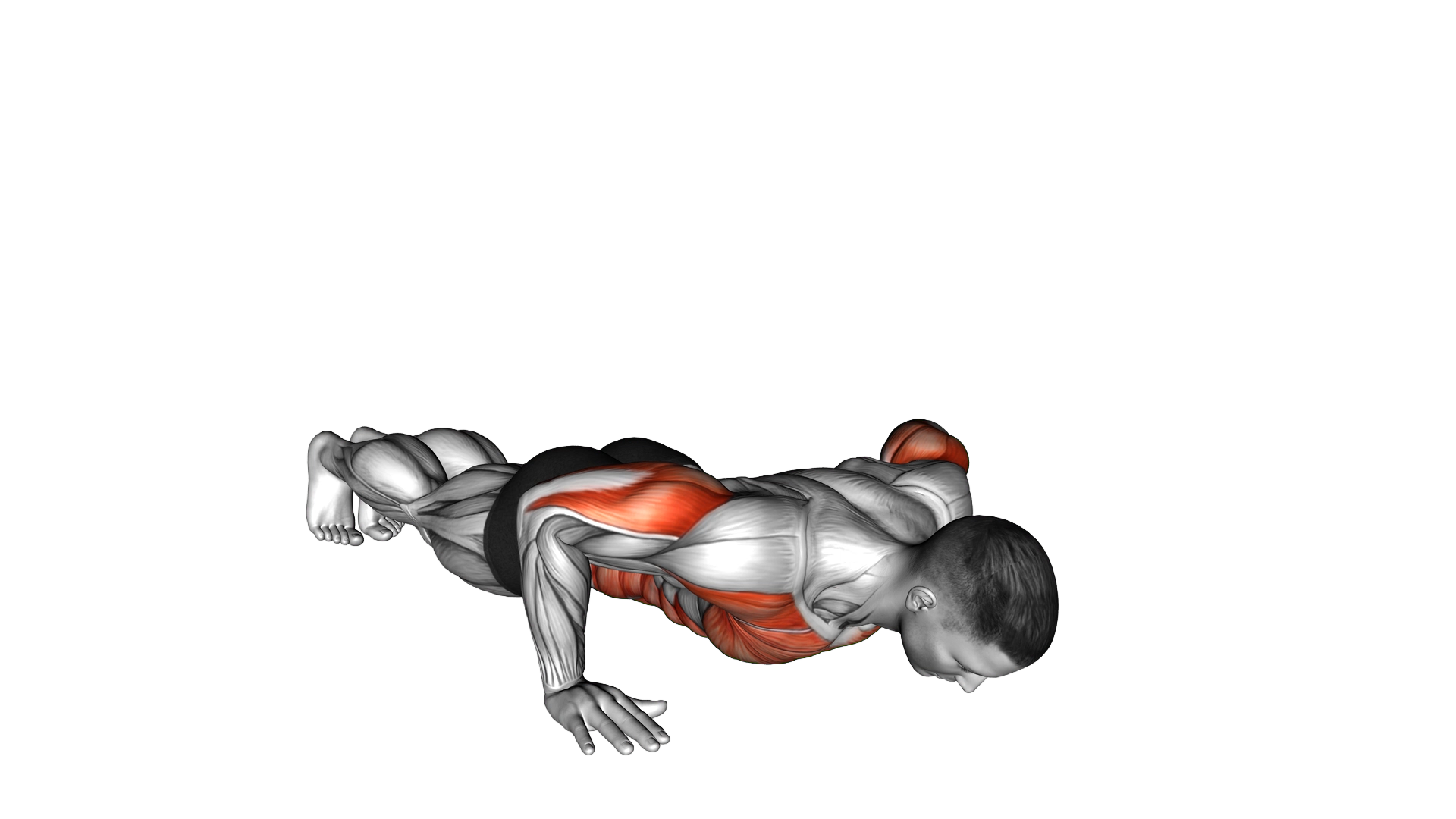 Rotational Push Up exercise demonstration