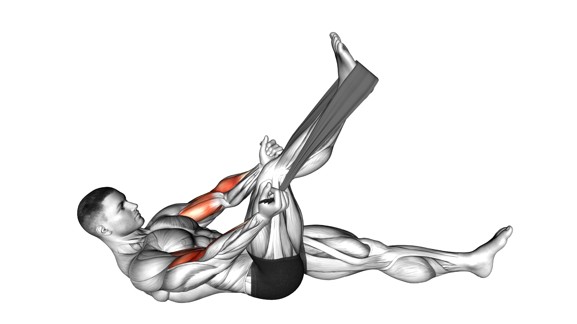 Lying Biceps Curl with Towel exercise demonstration
