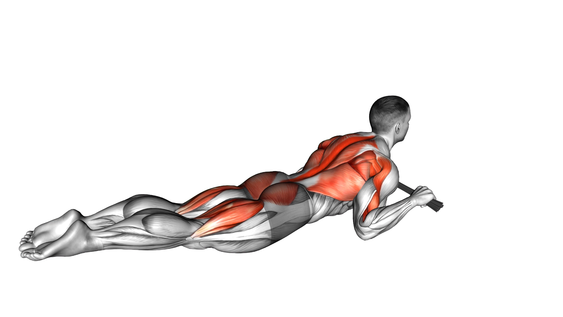 Superman Row with Towel exercise demonstration