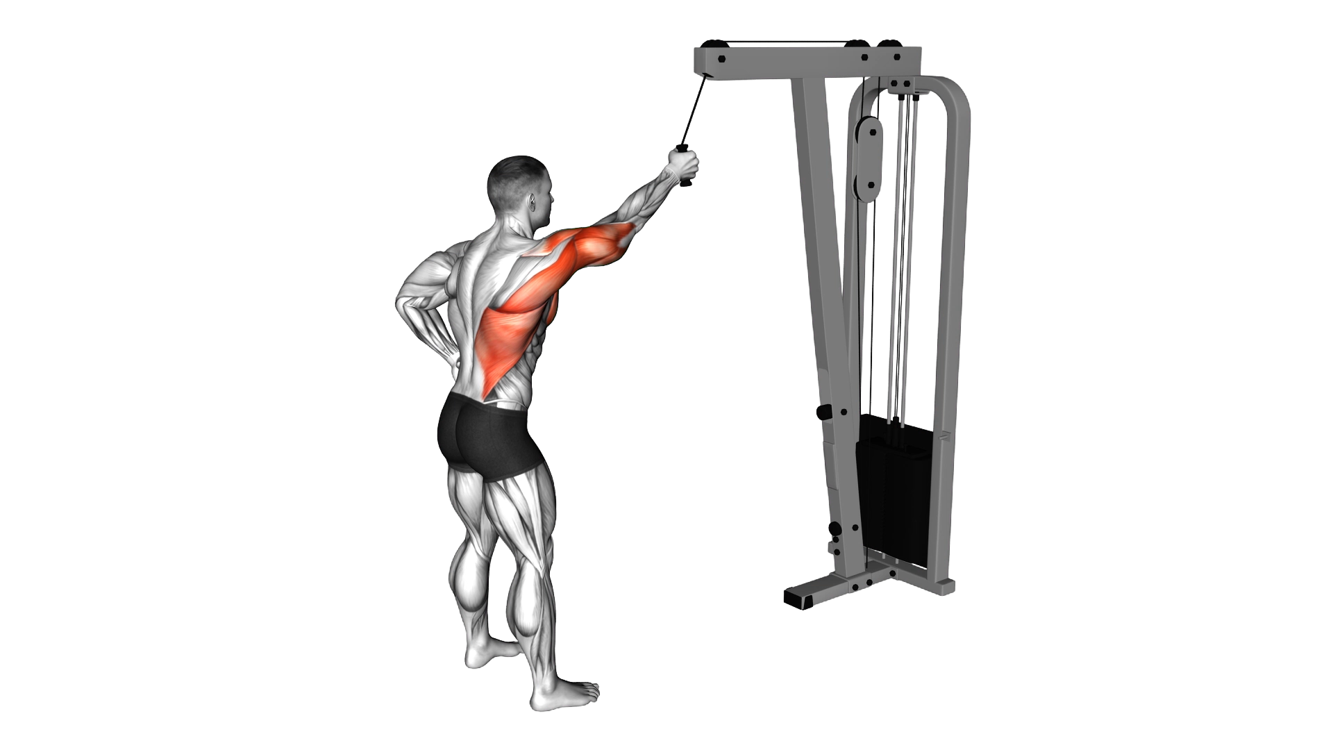 Cable One Arm Pulldown exercise demonstration
