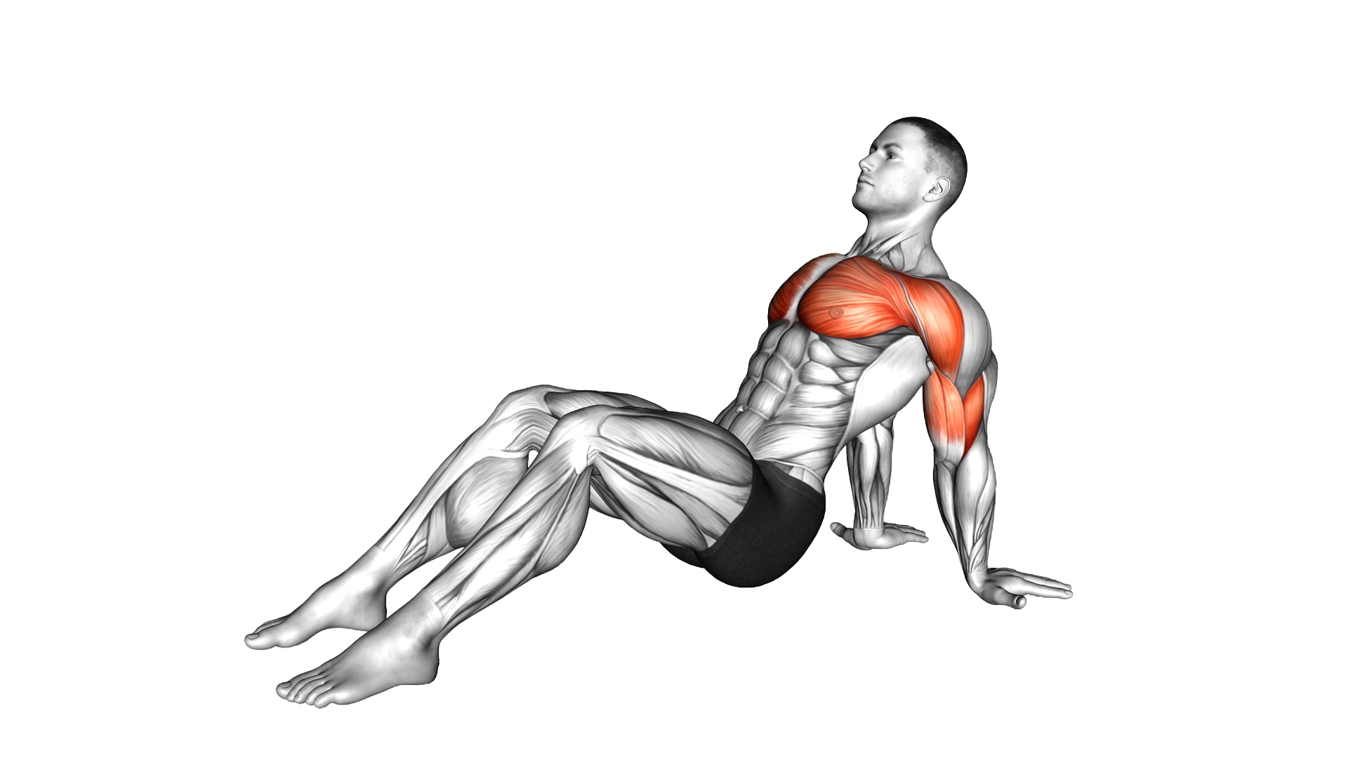 Seated Shoulder Flexor Depresor Retractor Stretch Bent Knee exercise demonstration