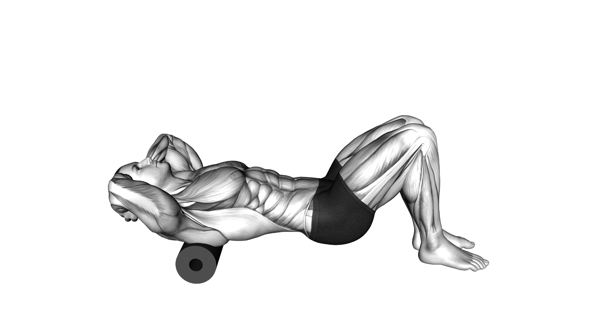 Roll Upper Back exercise demonstration