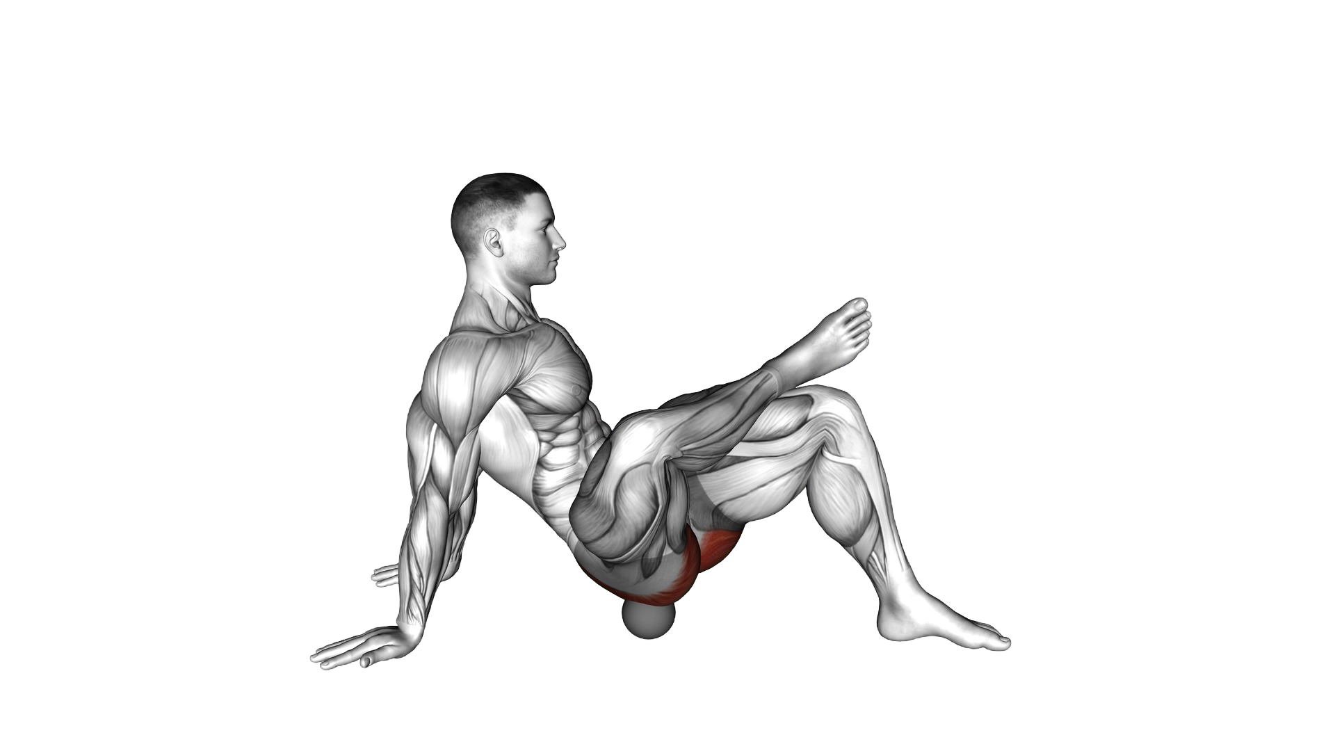 Roll Ball Piriformis Release exercise demonstration