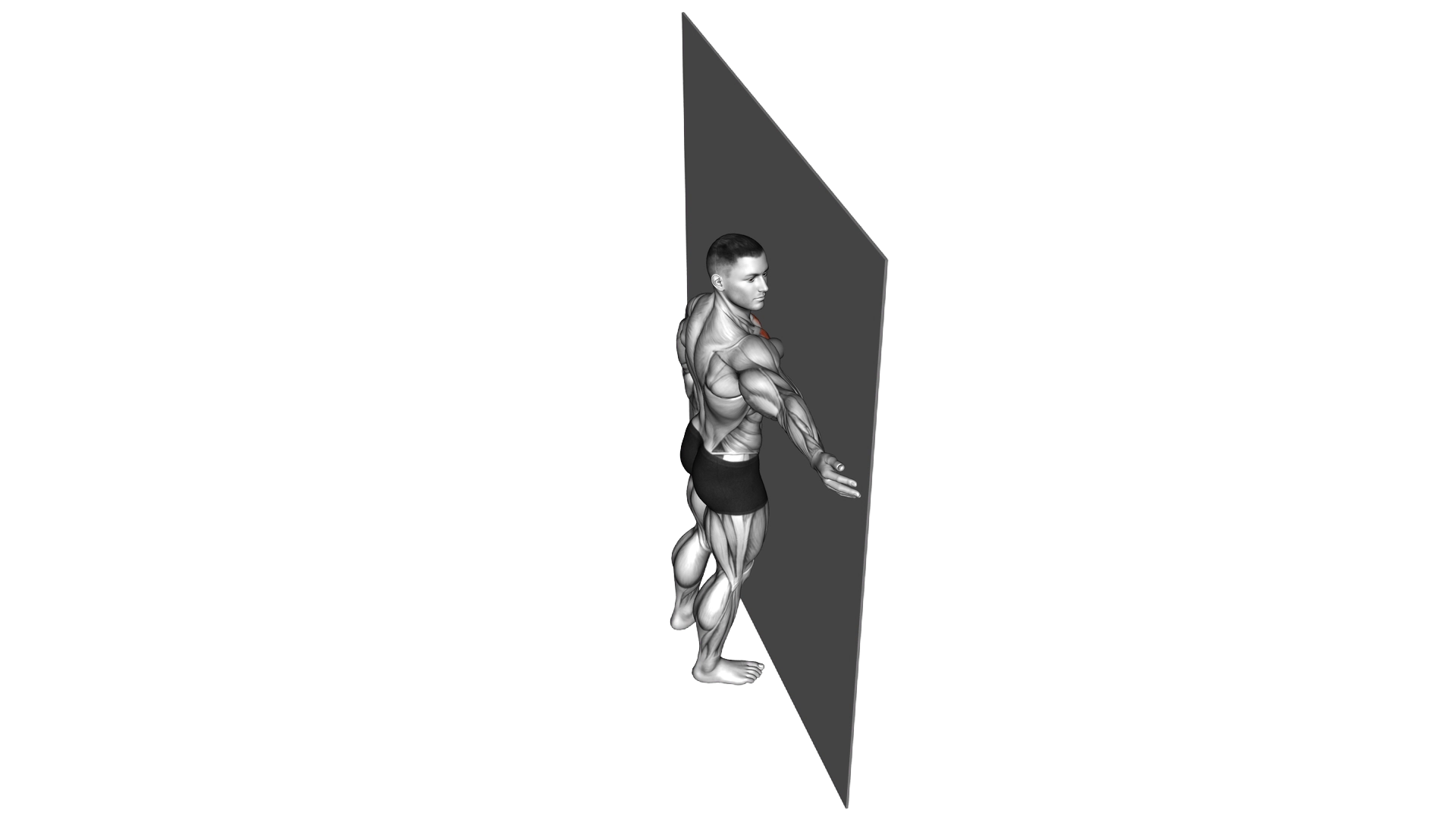 Roll Ball Pectorial Release exercise demonstration