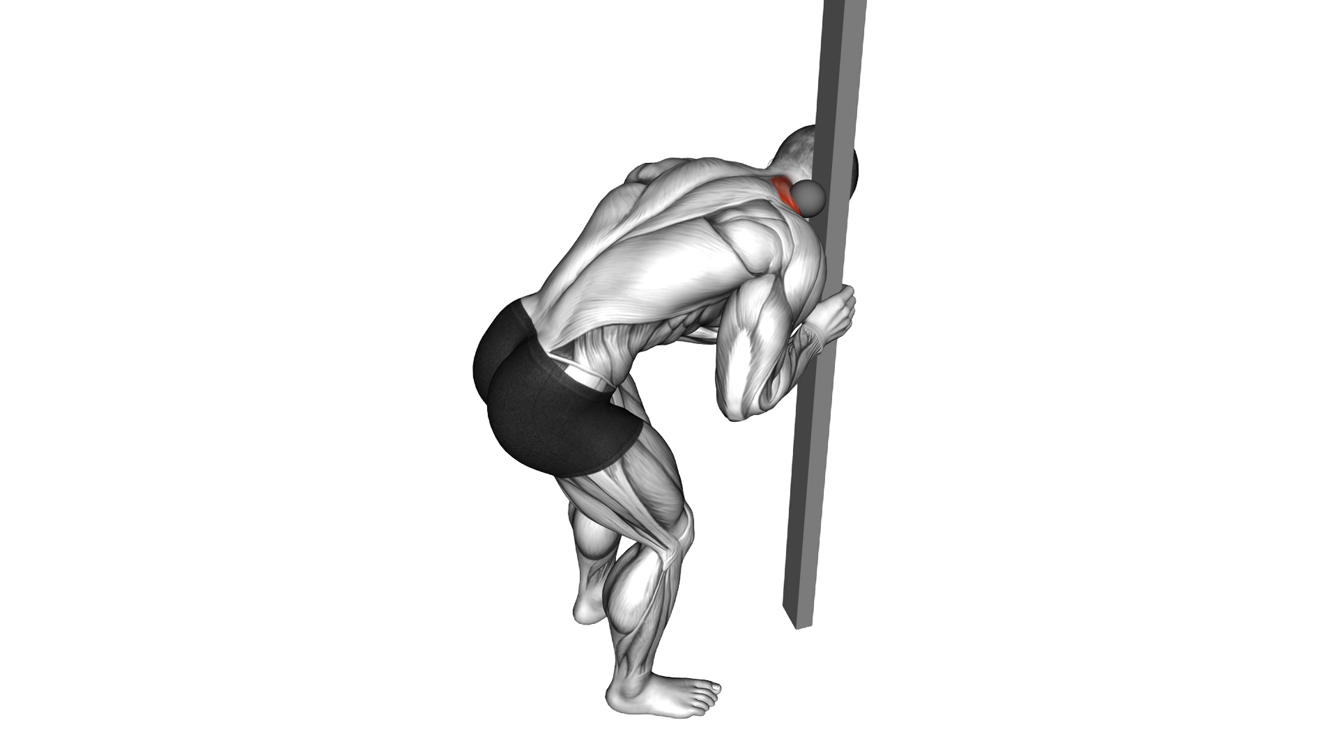 Roll Ball Upper Trapezius Release exercise demonstration