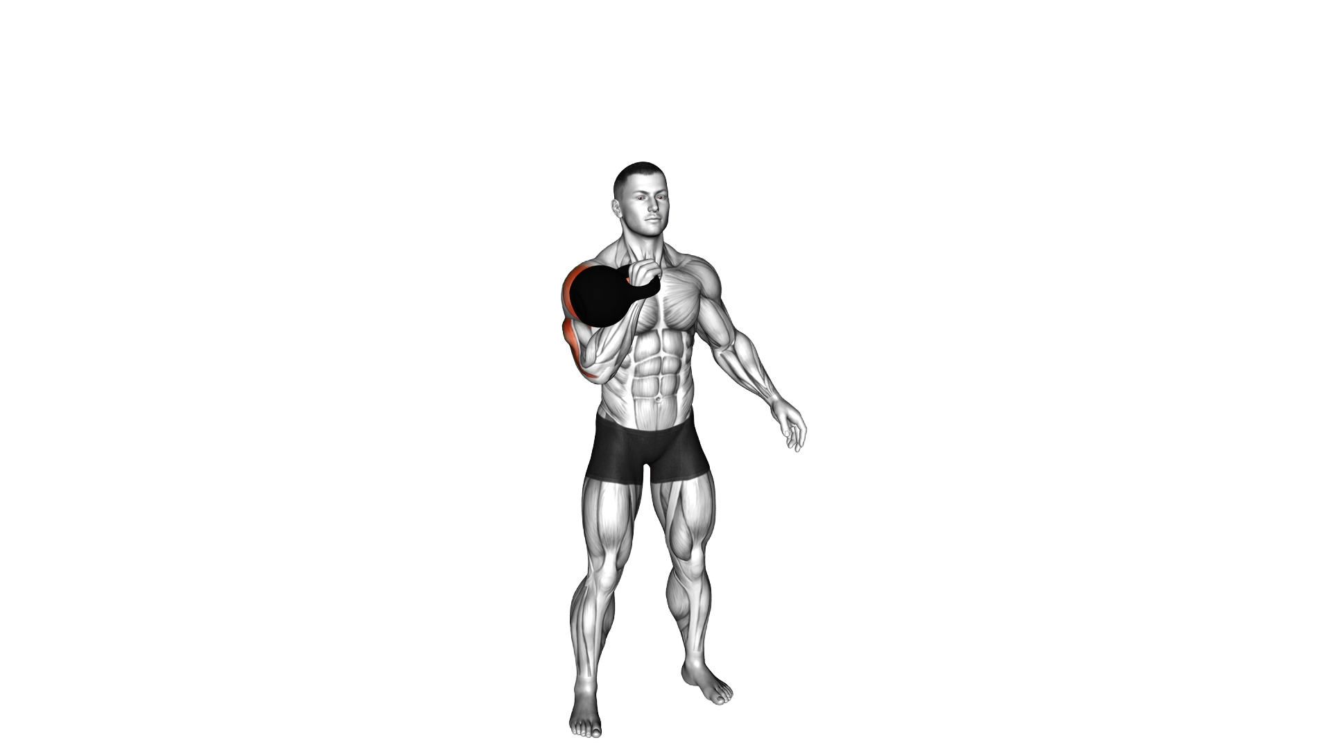 Kettlebell Strict Press exercise demonstration