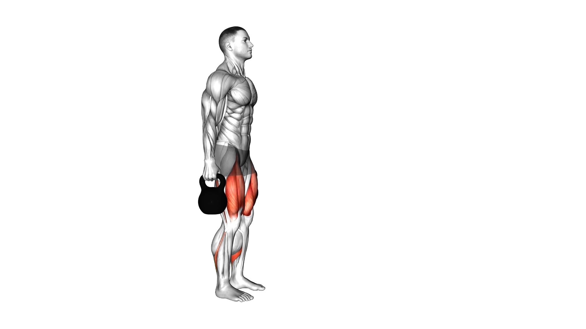 Kettlebell Forward Lunge exercise demonstration