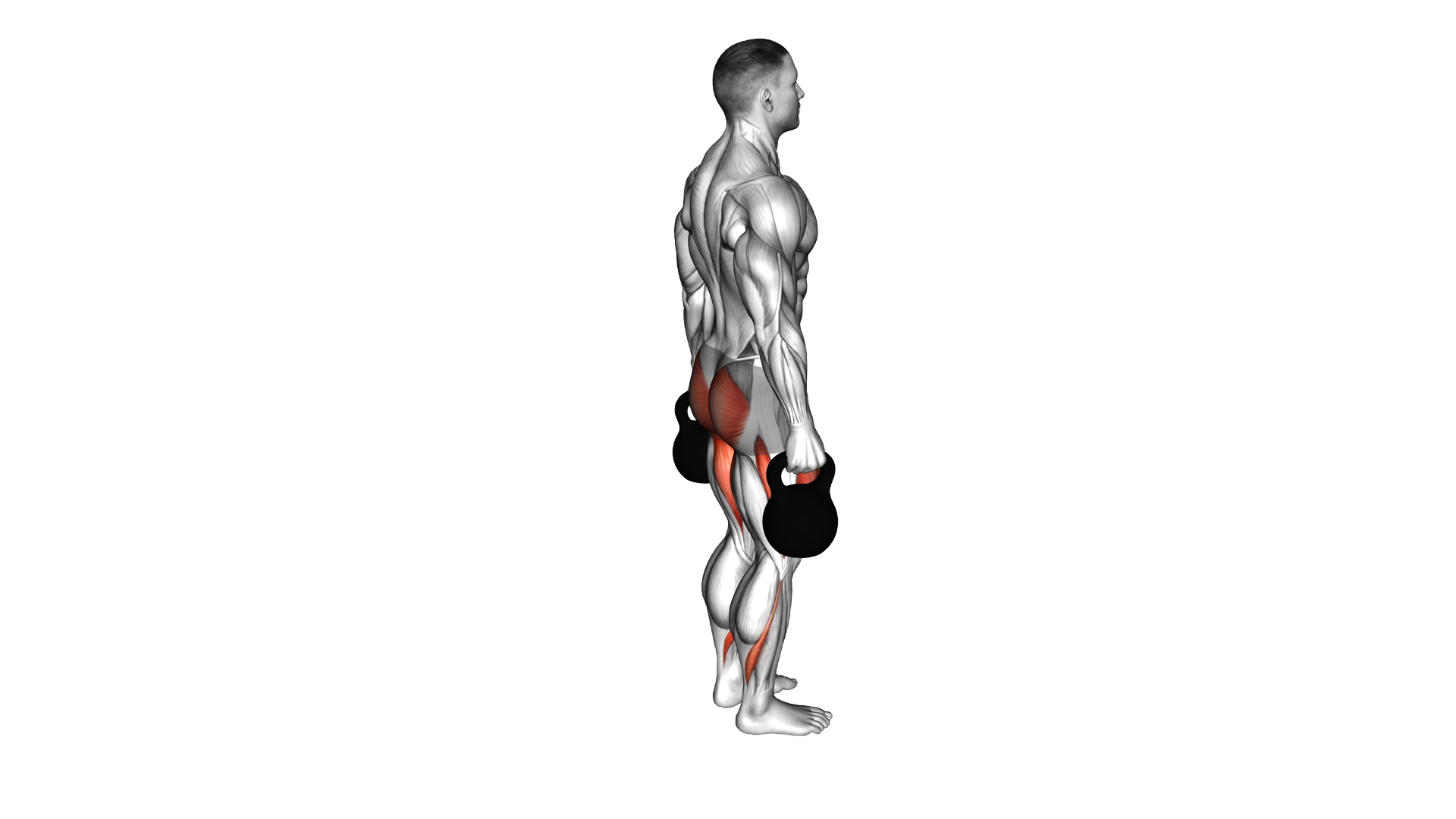 Kettlebell Backward Lunge exercise demonstration