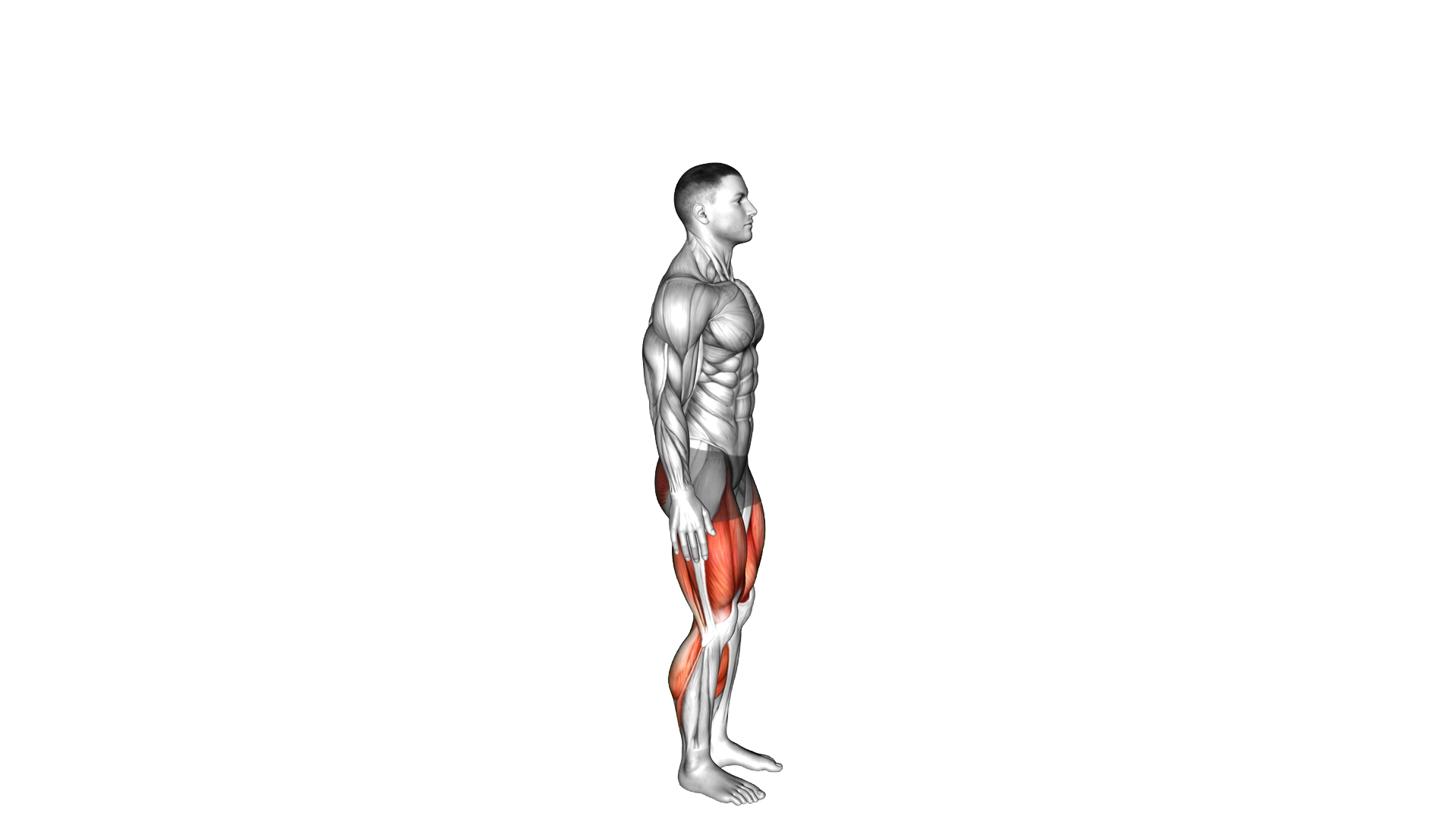 Lunge with Jump exercise demonstration