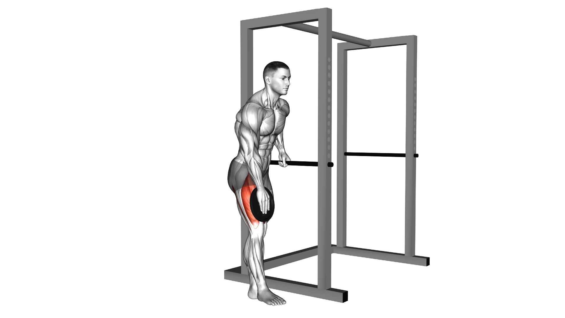 Weighted Single Leg Lift exercise demonstration