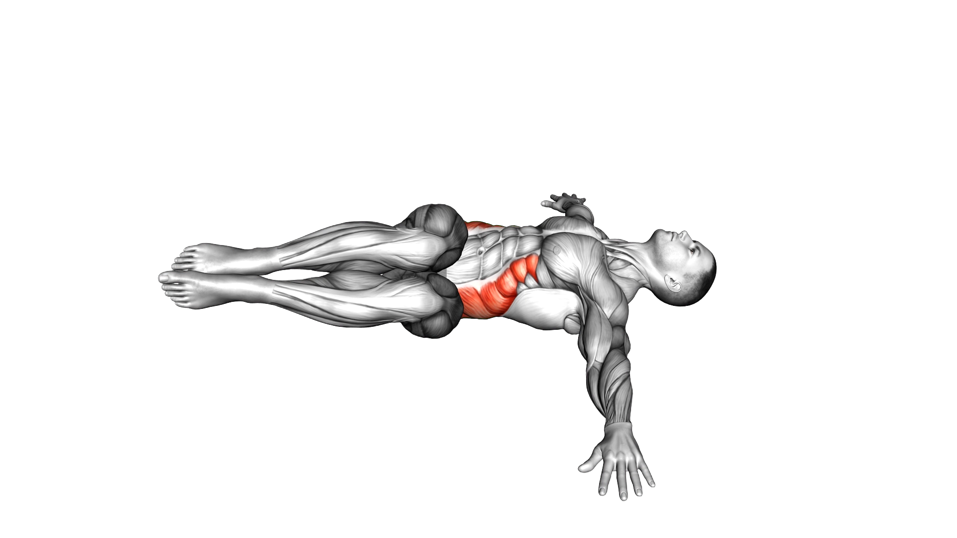 Bent knee Lying Twist exercise demonstration