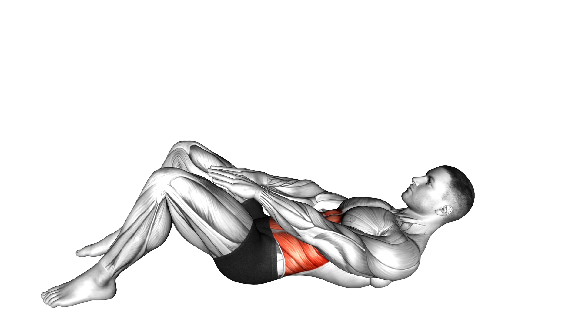 Knee Touch Crunch exercise demonstration