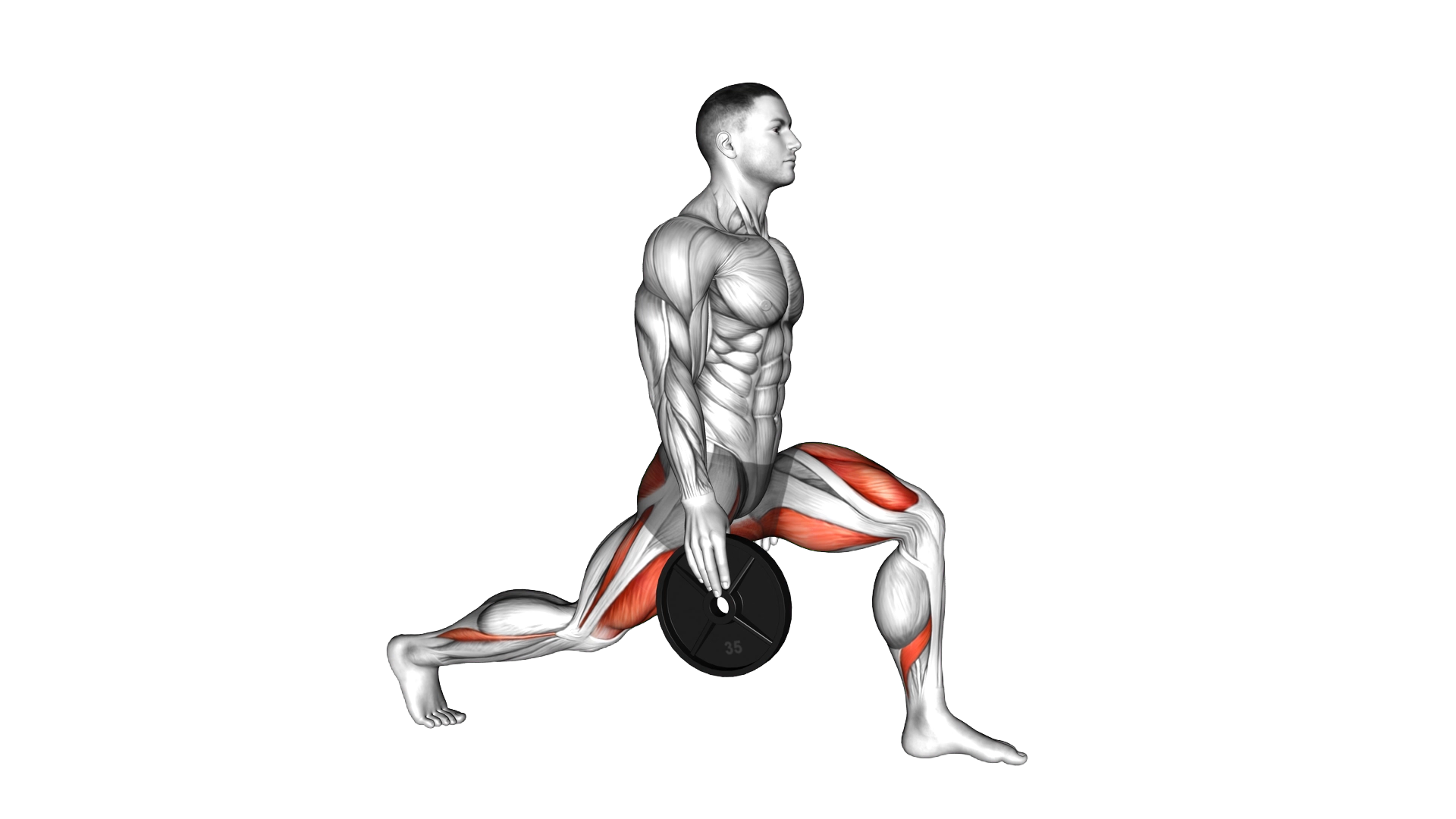 Weighted Stretch Lunge exercise demonstration