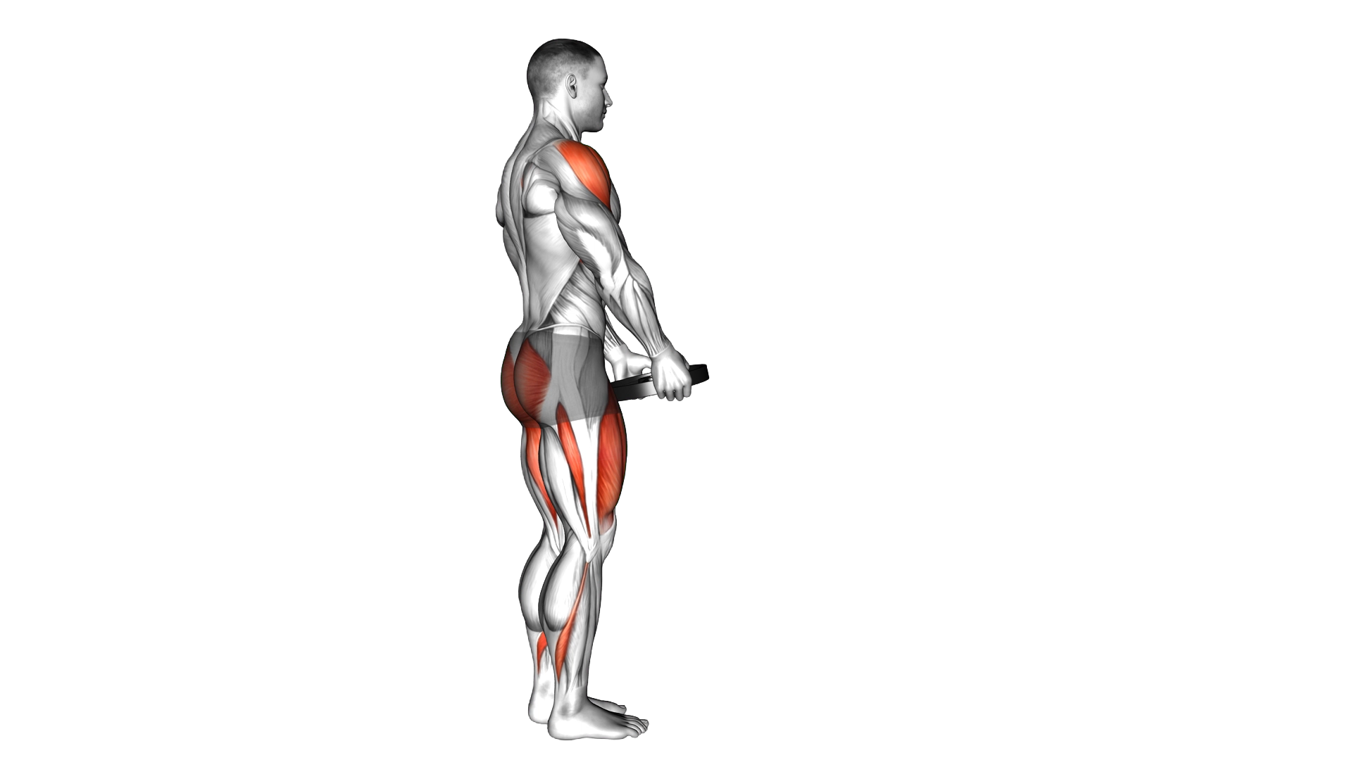 Weighted Lunge with Swing exercise demonstration