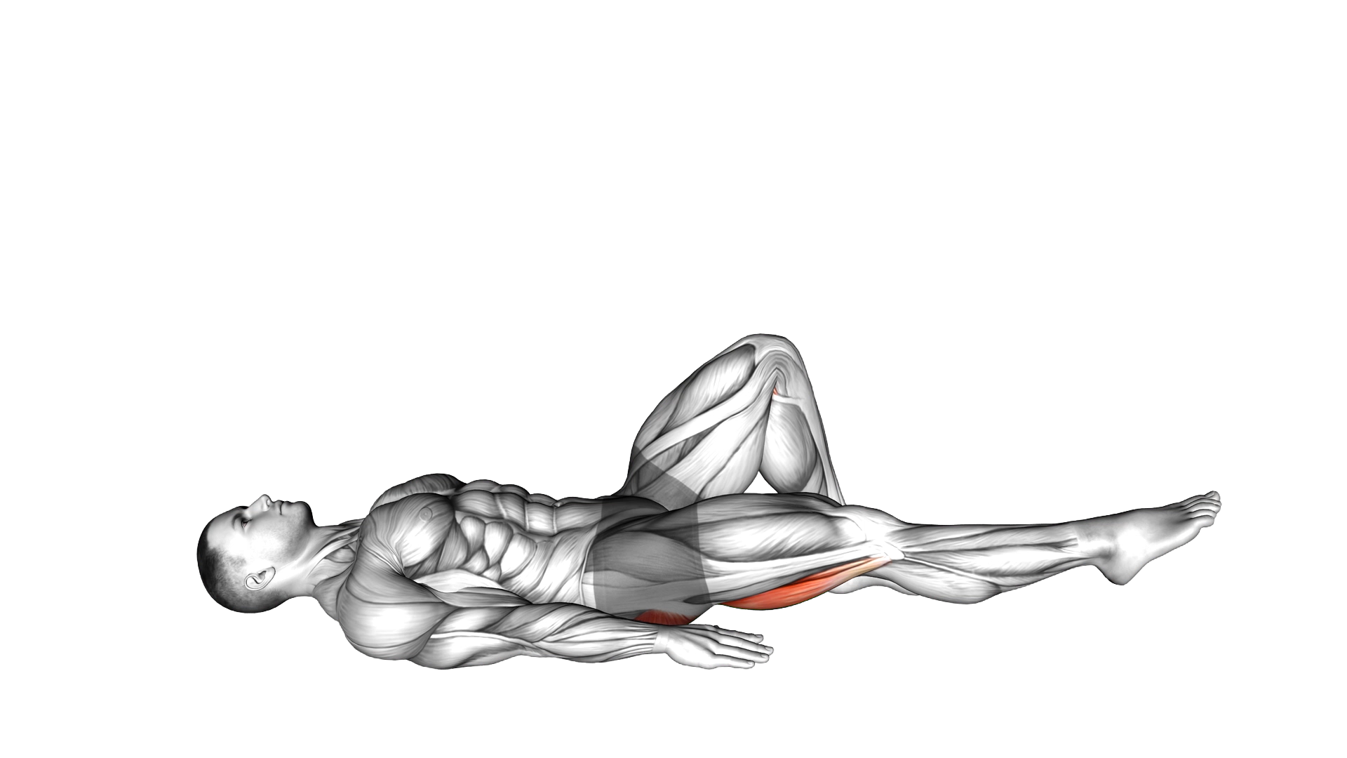 Single Leg Bridge with Outstretched Leg exercise demonstration